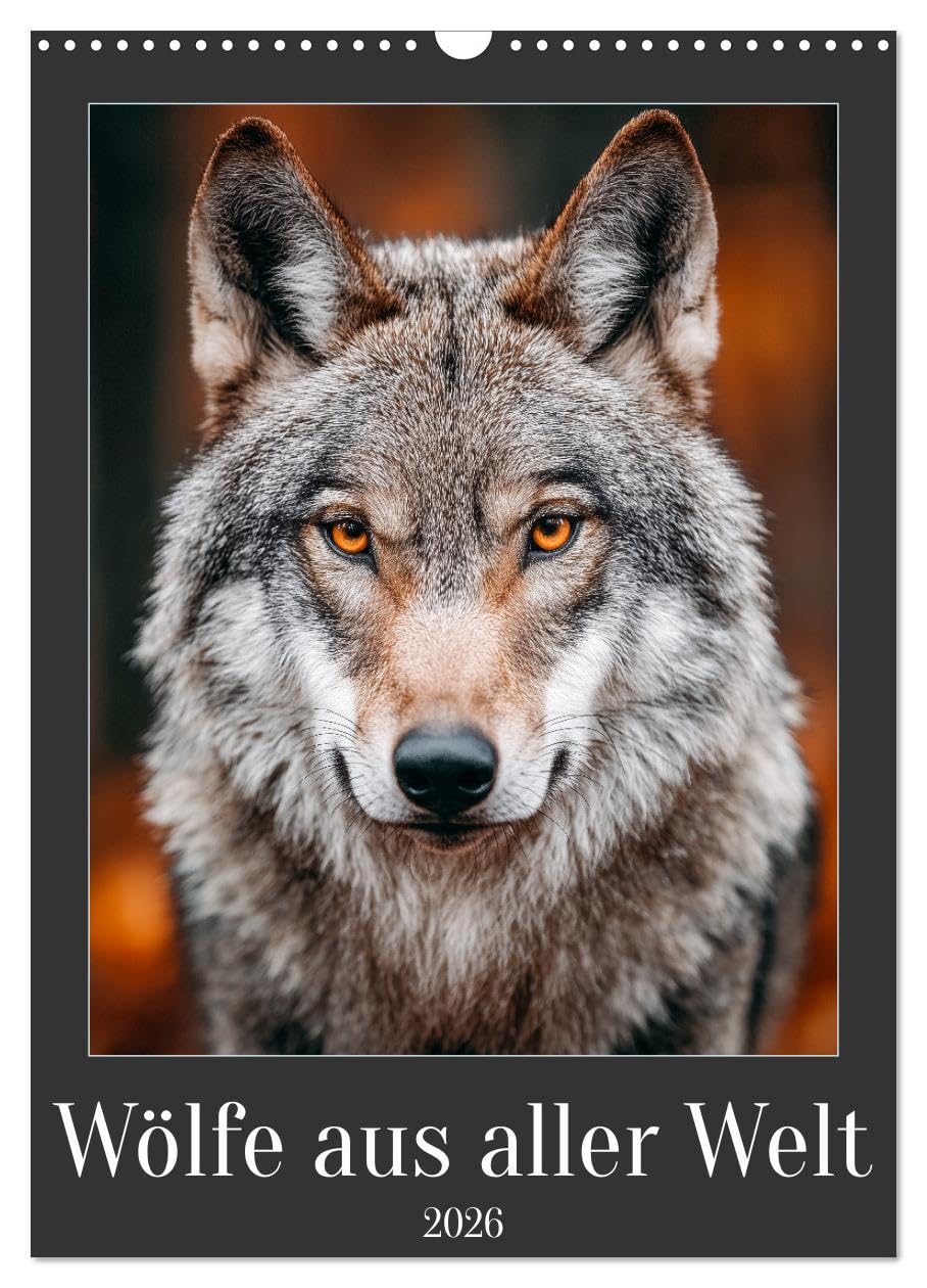 Wolves from all over the world UK-Version (Wall Calendar 2026 DIN A3 Portrait), CALVENDO 12 Month Wall Calendar — image 1