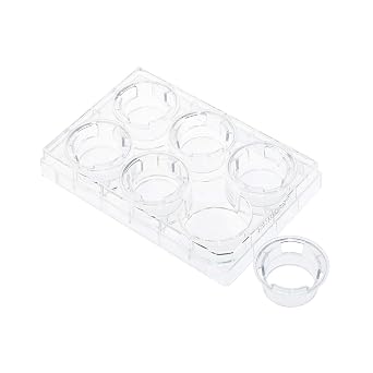 Permeable Cell Culture Inserts, Packed in 6 Well Plate, Hanging, PET, 8.0m, Sterile
