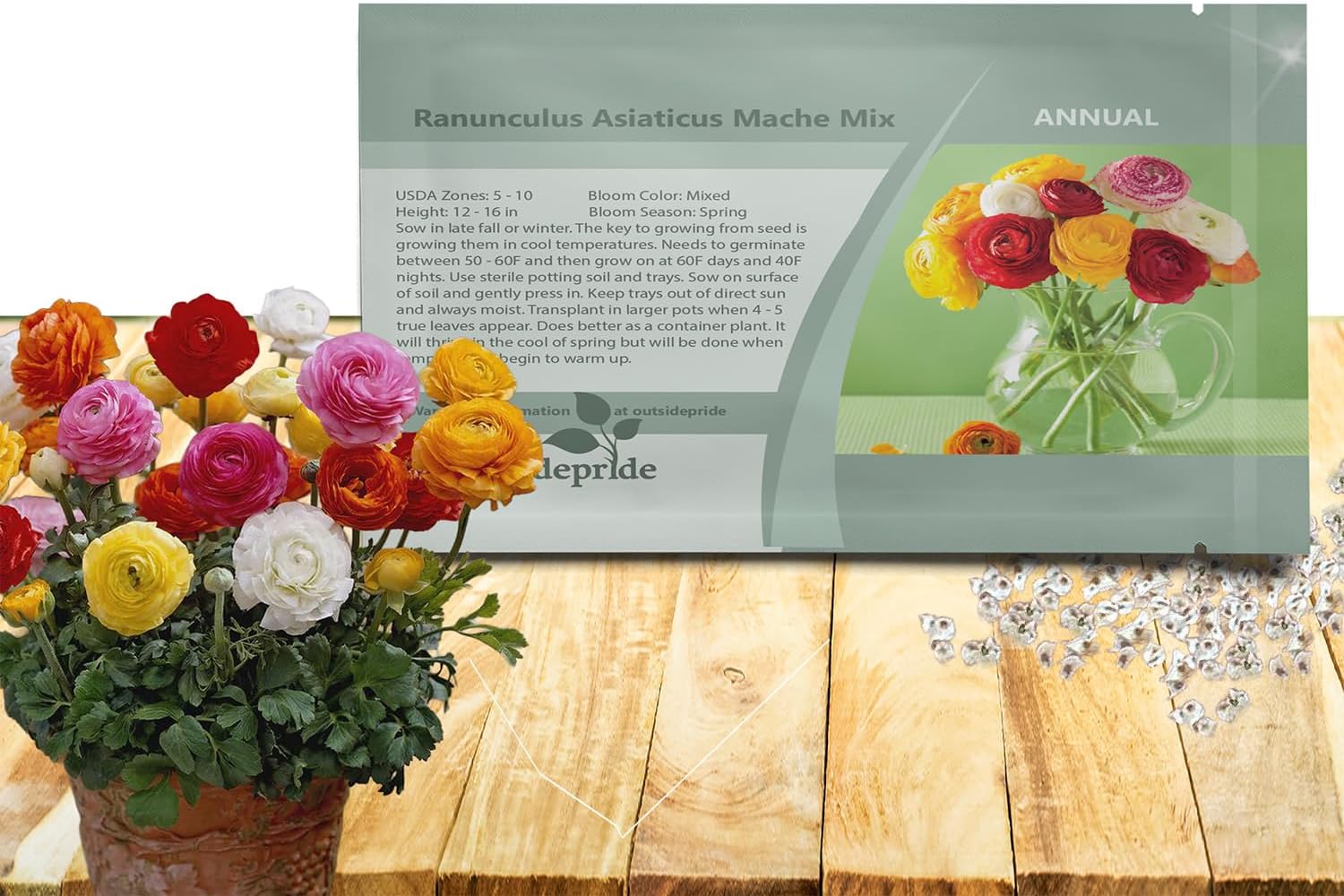 Outsidepride Persian Buttercup Mache Mix Ranunculus Seeds - 40 Pcs Annual, Vibrant Easy to Grow Seeds for Planting, Bright Colorful Ranunculus Flowers for Garden Beds & Cut Flowers