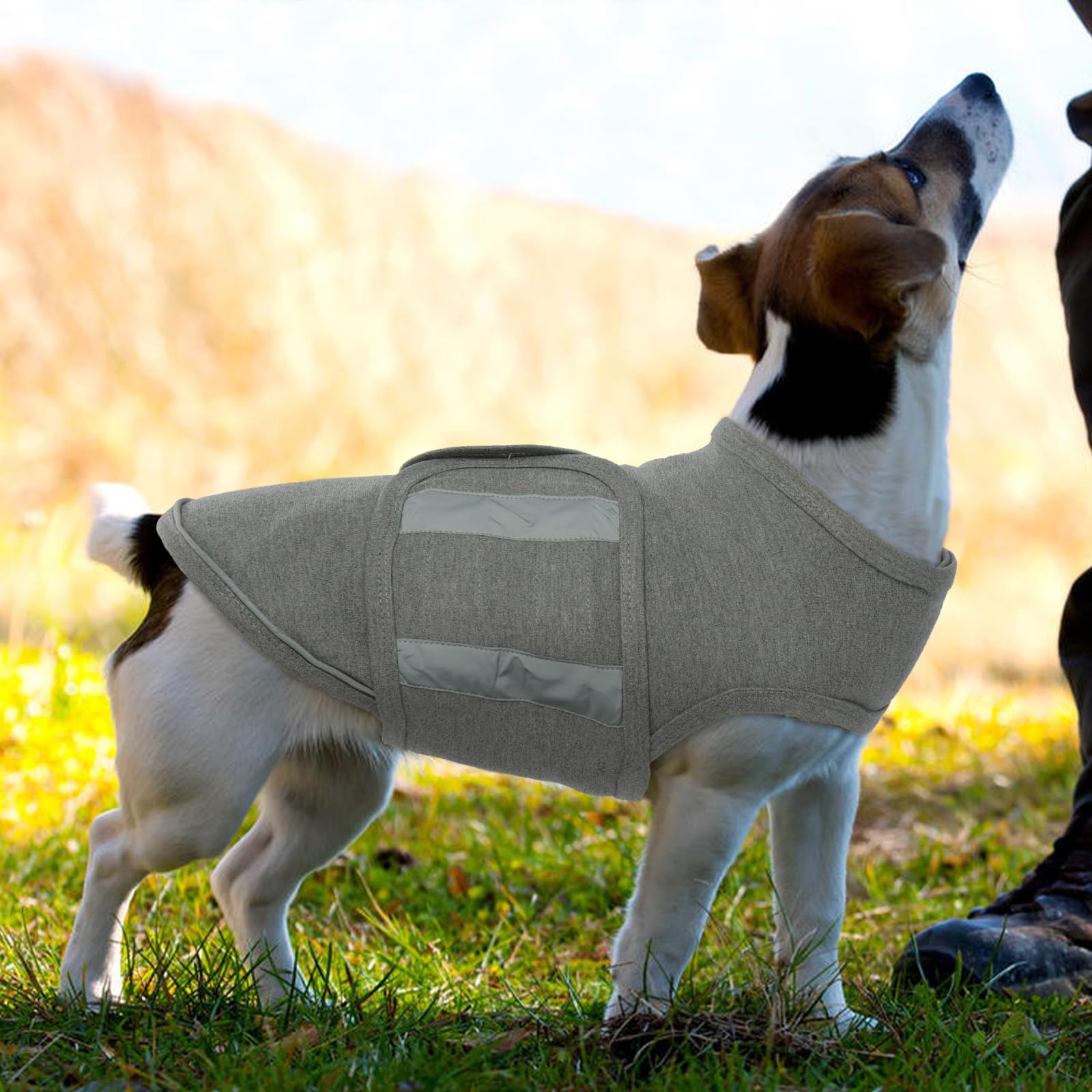 Cane Ansia Cappotto Pet Stress Relief Shirt Traspirante Cane Gilet sedativo Separato per Cane Comfort