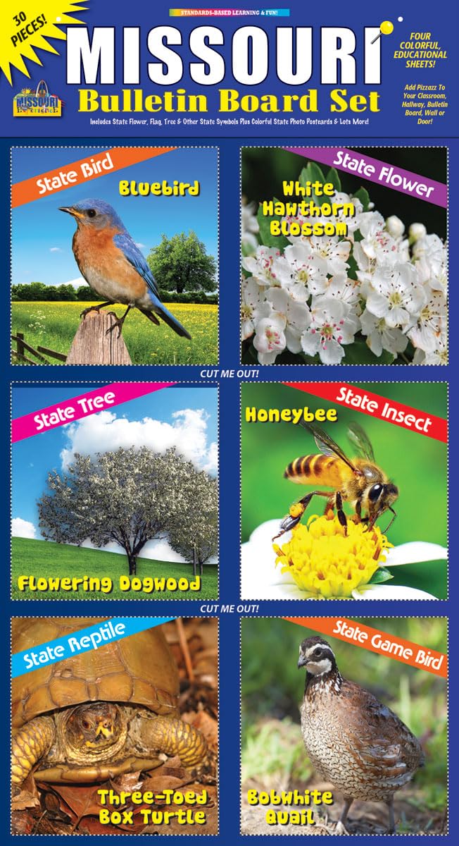 Gallopade Publishing Group Missouri Bulletin Board Set (9780635011114)