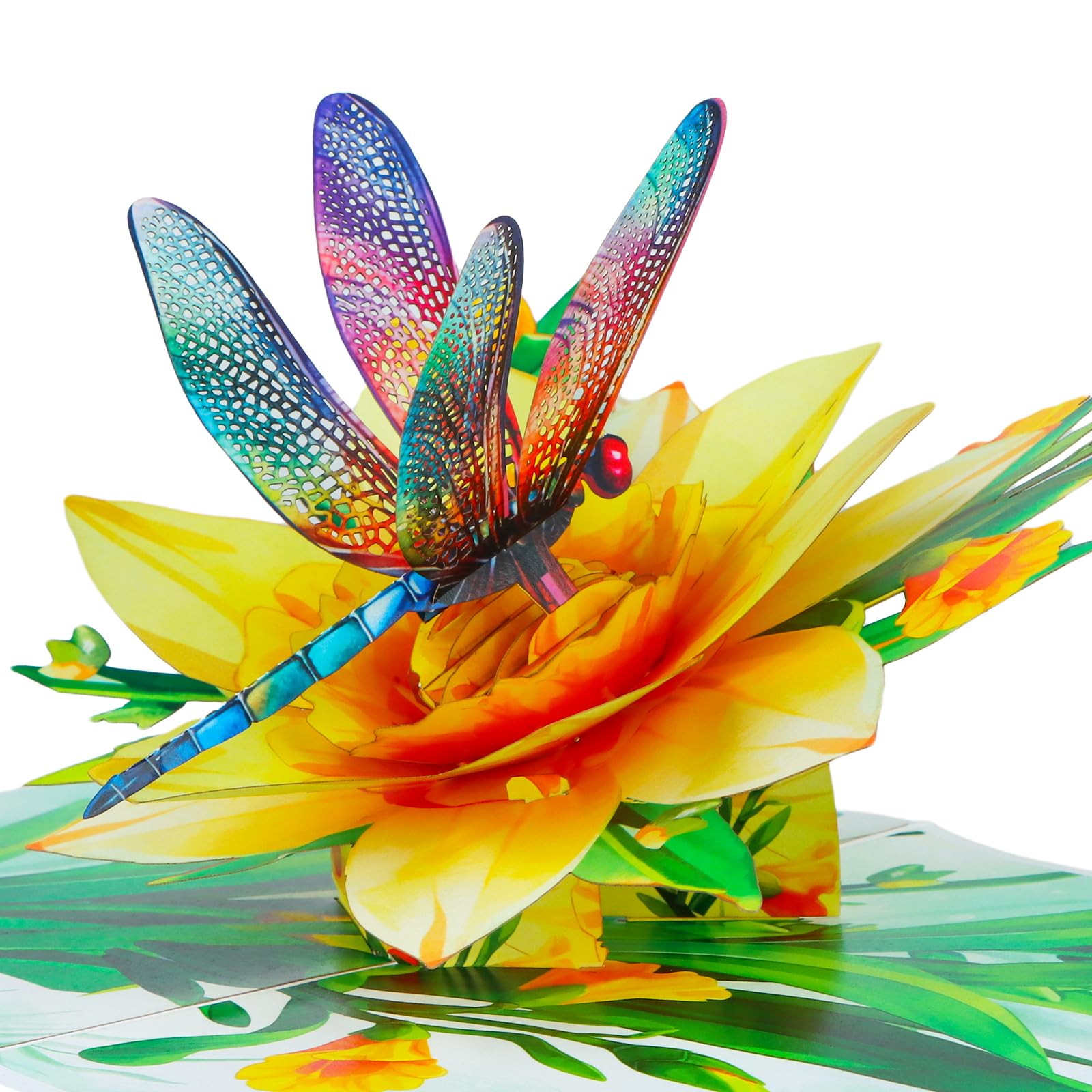 D4DREAM Dragonfly Gifts for Women - Daffodils Flower Dragonfly Pop Up Card 3D Birthday Card for Women Pop Up Mothers Day Cards with Envelope for Her