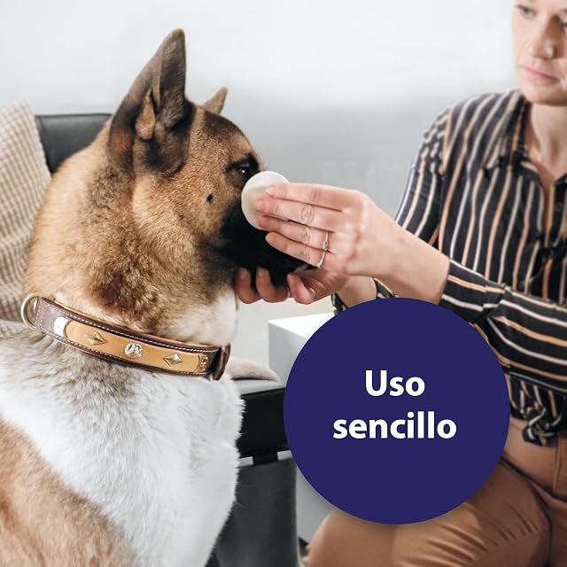 Foto 4 de 6 de Canosept Toallitas Para El Cuidado De Los Ojos De Los Perros 3 x 100 Piezas - Limpiador ojos perros