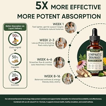 Lymphatic Drainage Drops, 4-Herb Liquid Lymphatic Drainage Supplement with Cleavers, Red Clover, Stillingia Root & Prickly Ash Bark, Supports Lymphatic Drainage, Immune System & Detox, Vegan (2)