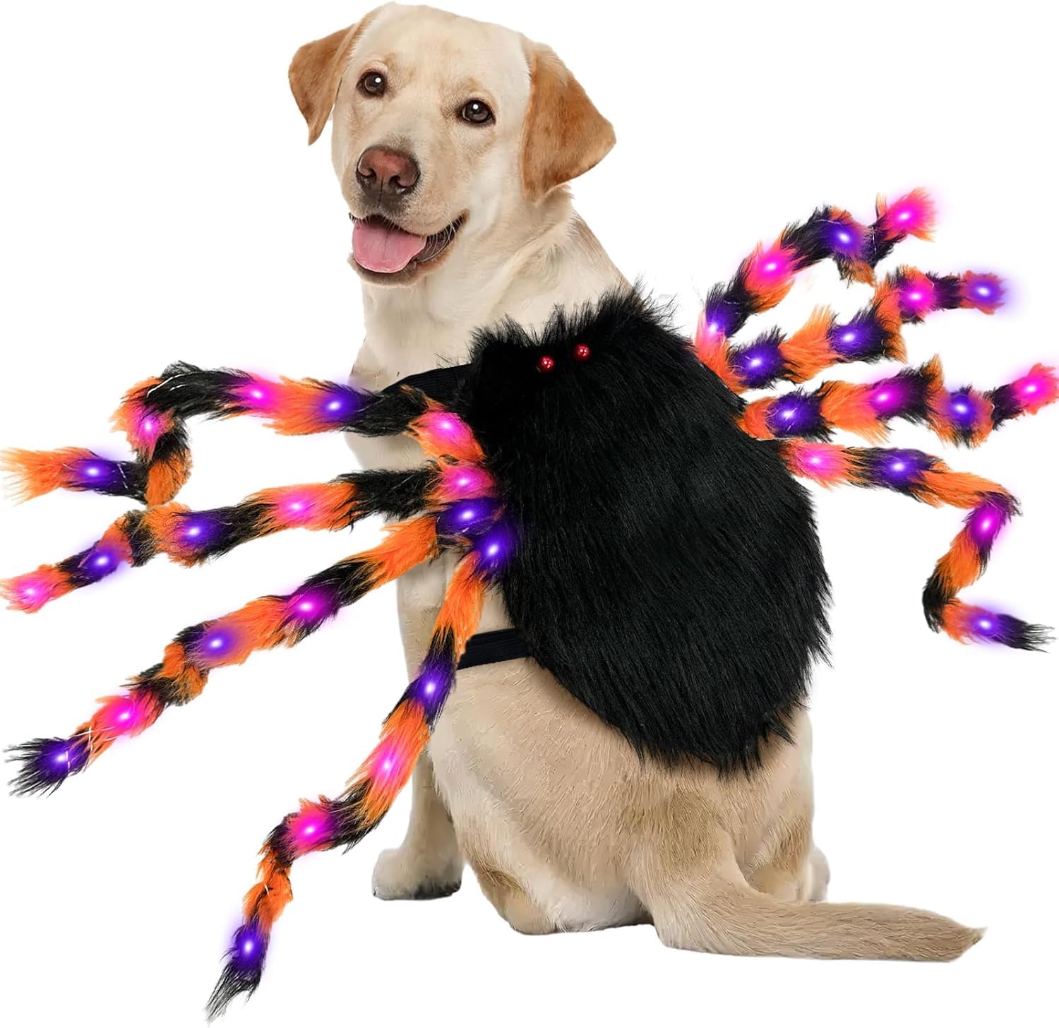 Costume d'araignée géante pour grand chien OurWarm anti-stress pour Halloween