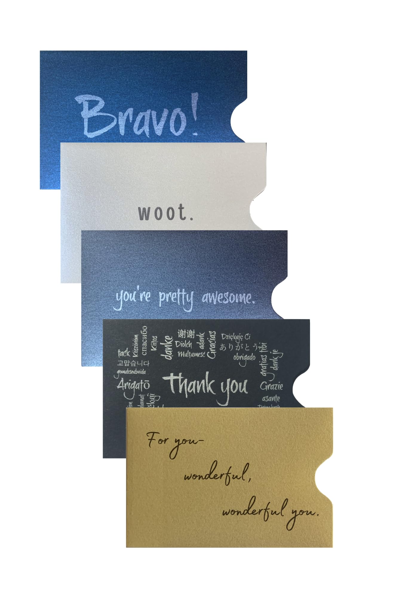 Tip Slips Gratuity Envelopes (Pack of 20, Variety)