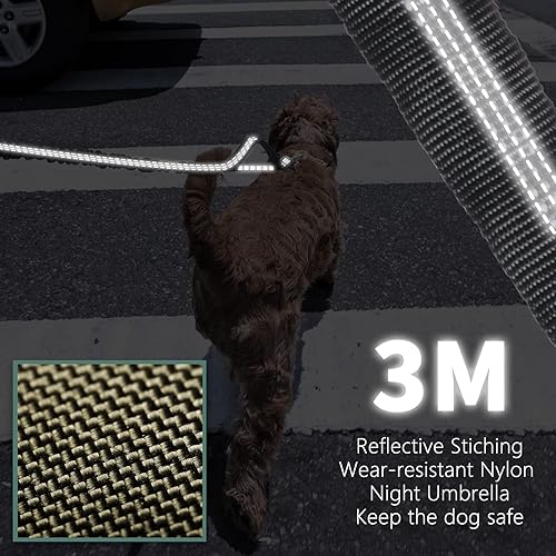 Miniatura 6 de BUMBIN Correa elástica de 6 pies con 2 asas para perros grandes, medianos y pequeños, resistente, sin tirones, absorción de golpes con cinturón de