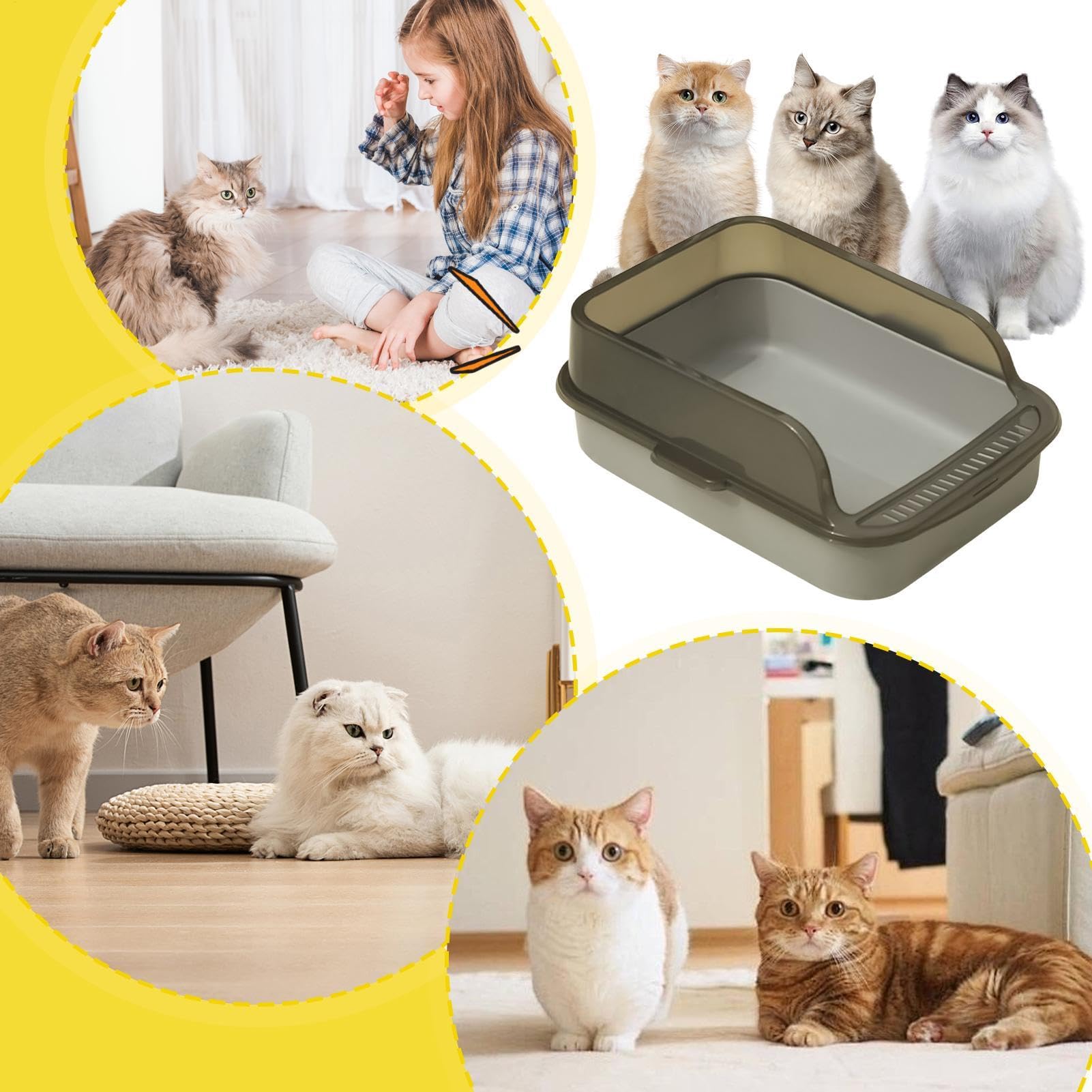 Lettiera Con Parte Superiore Aperta - Bordi Alti a Prova di Perdite Per Gatti | Toilette Per Gattini Facile da Pulire Con Parte Superiore Aperta