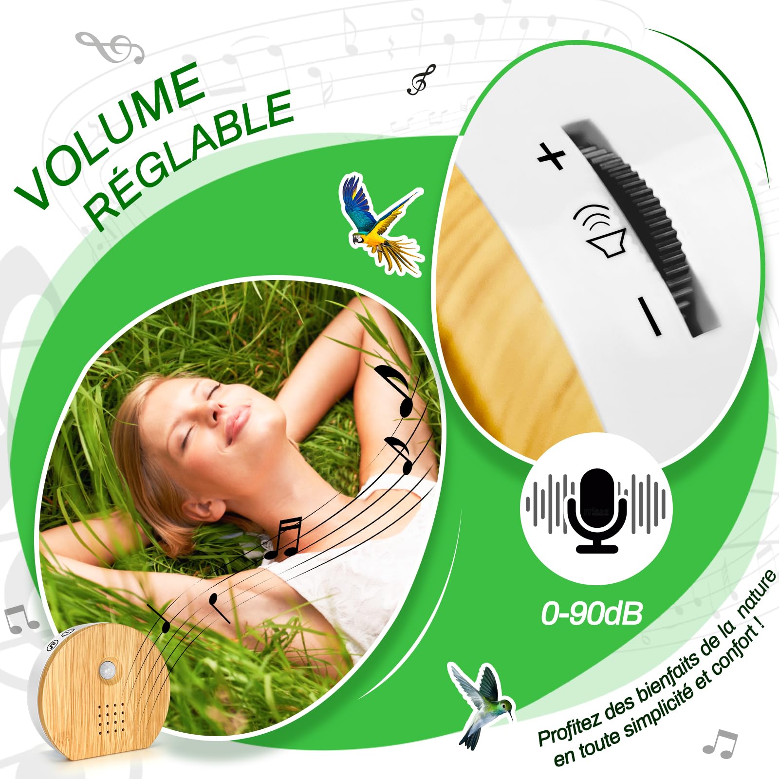 Boîte détecteur de Mouvement avec Chant d'oiseaux, Rodukee Boîte Soundbox Oiseau avec Minuterie, 9 Naturels Birdsongs, Murmure de Ruisseau, Source Forestière, Boîte à Musique Relaxante et Détente