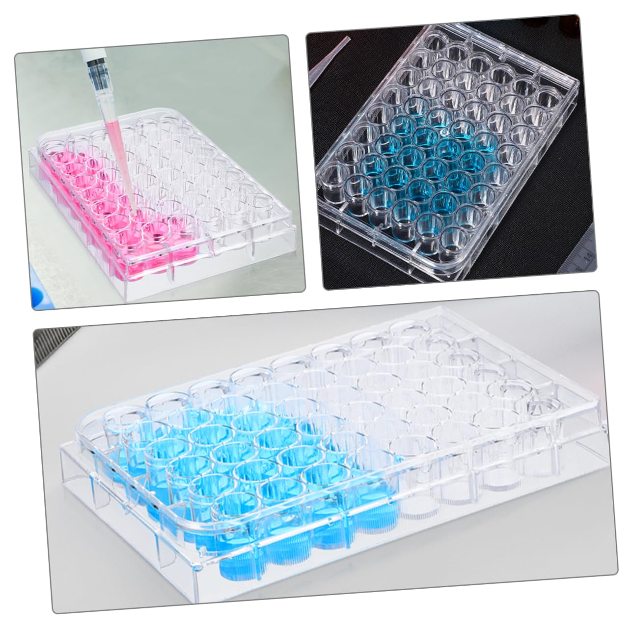 FUNOMOCYA 3sets 48-Hole Cell Culture Plates Lab Equipment Tissue Culture Dishes 2pcs*3