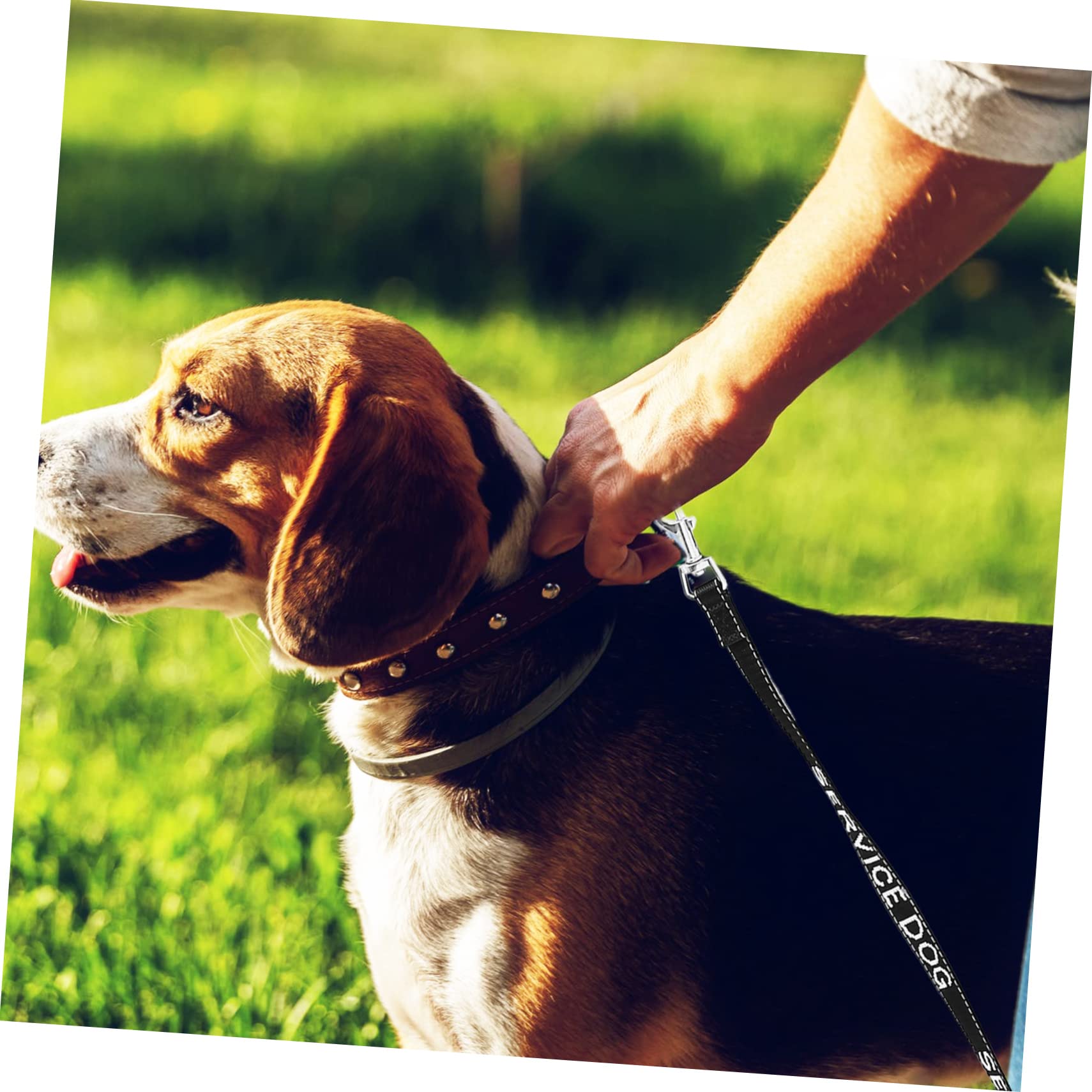 FOMIYES 5piezas Correa De Perro De Servicio Arnés Cuerda Conveniente para Mascotas para Paseos y Entrenamiento