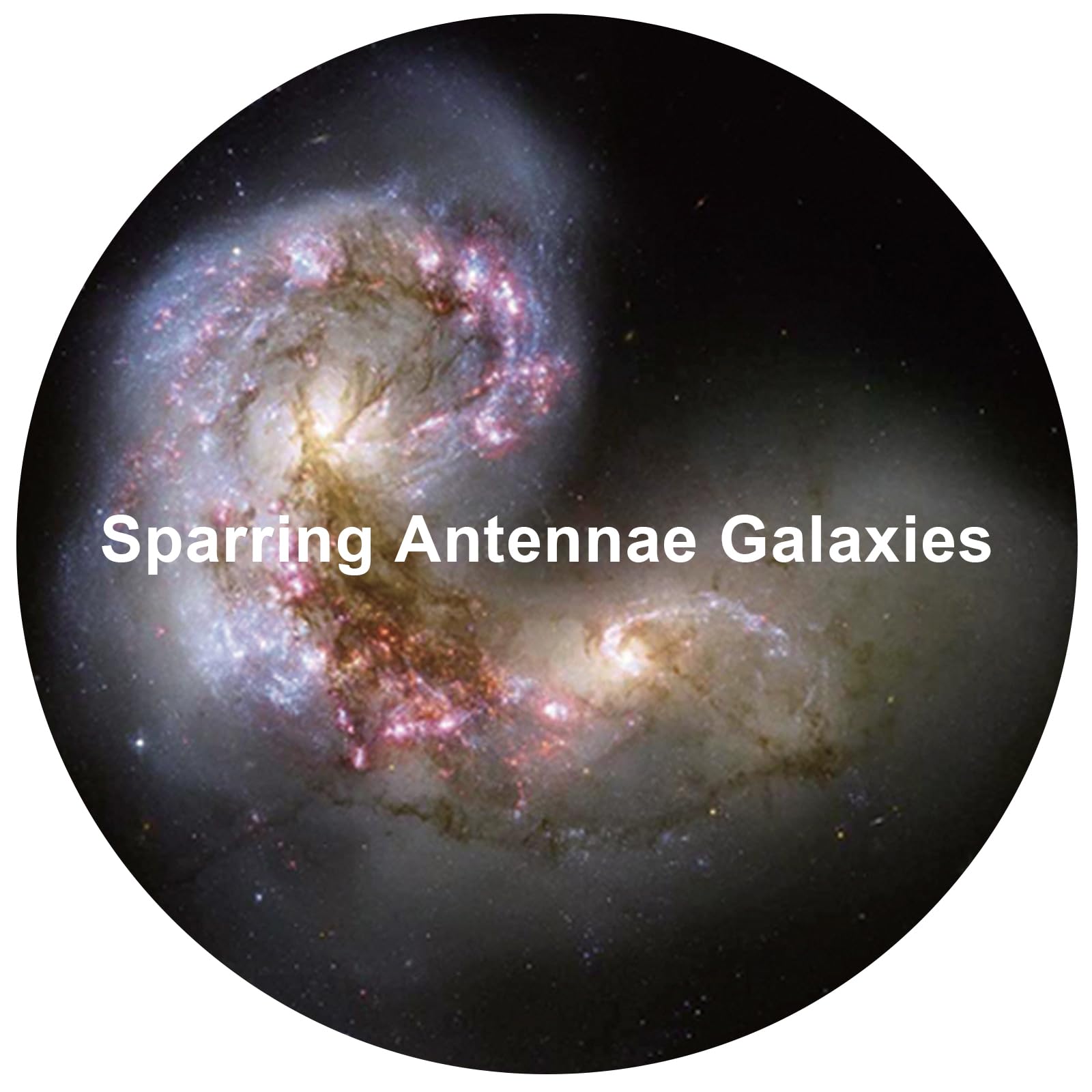 Galaxy Projektor Disc – Ultra HD Projektionsscheibe, kompatibel mit Ainael Galaxy Projektor und SKE-TKQ01 & BL-DQY02 (Pro Version), 6er Set (Nebula B)