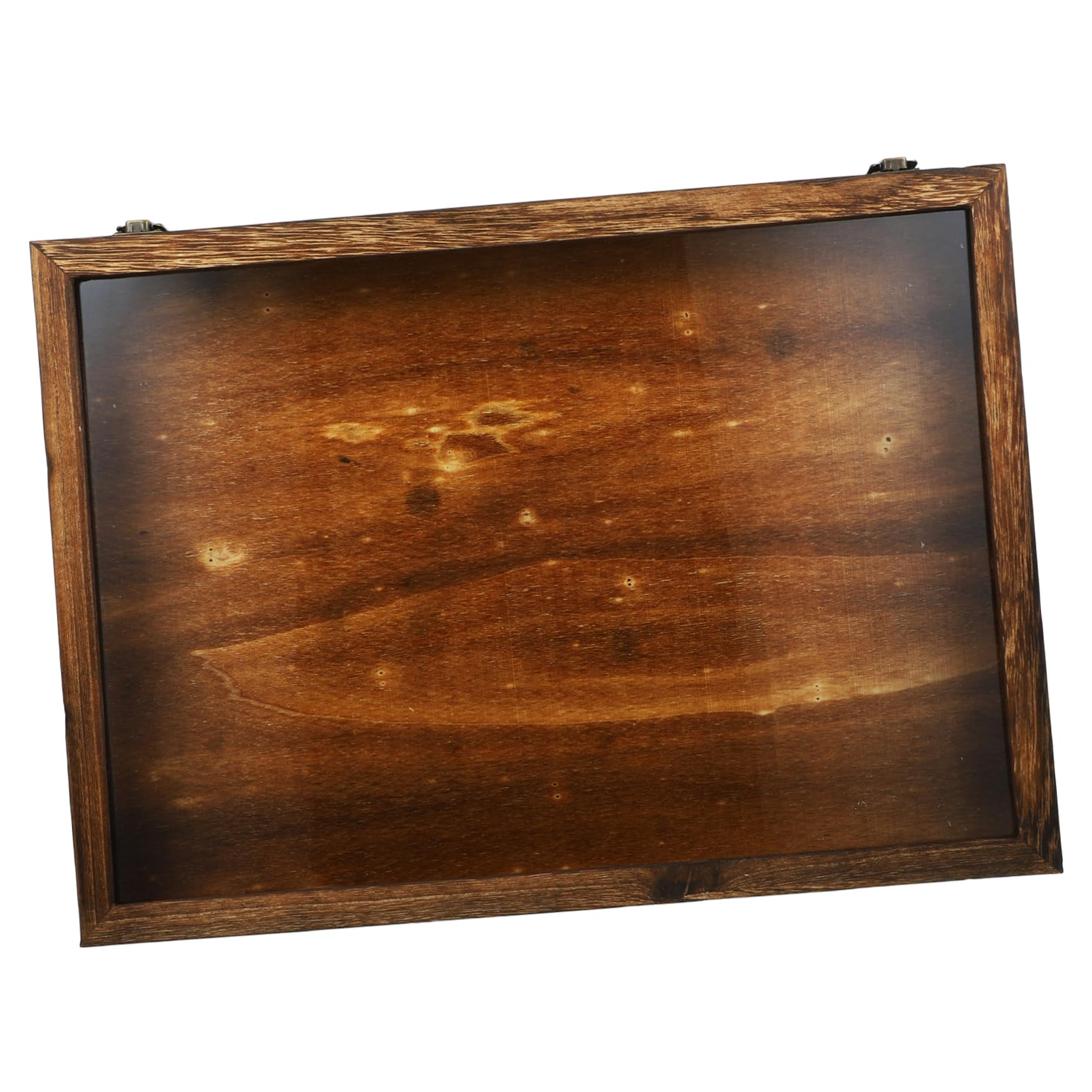 Cabilock Display Box for and Dried Flowers Vintage Insect Showcase with Clear Lid Design for Home Decor and Specimen Storage