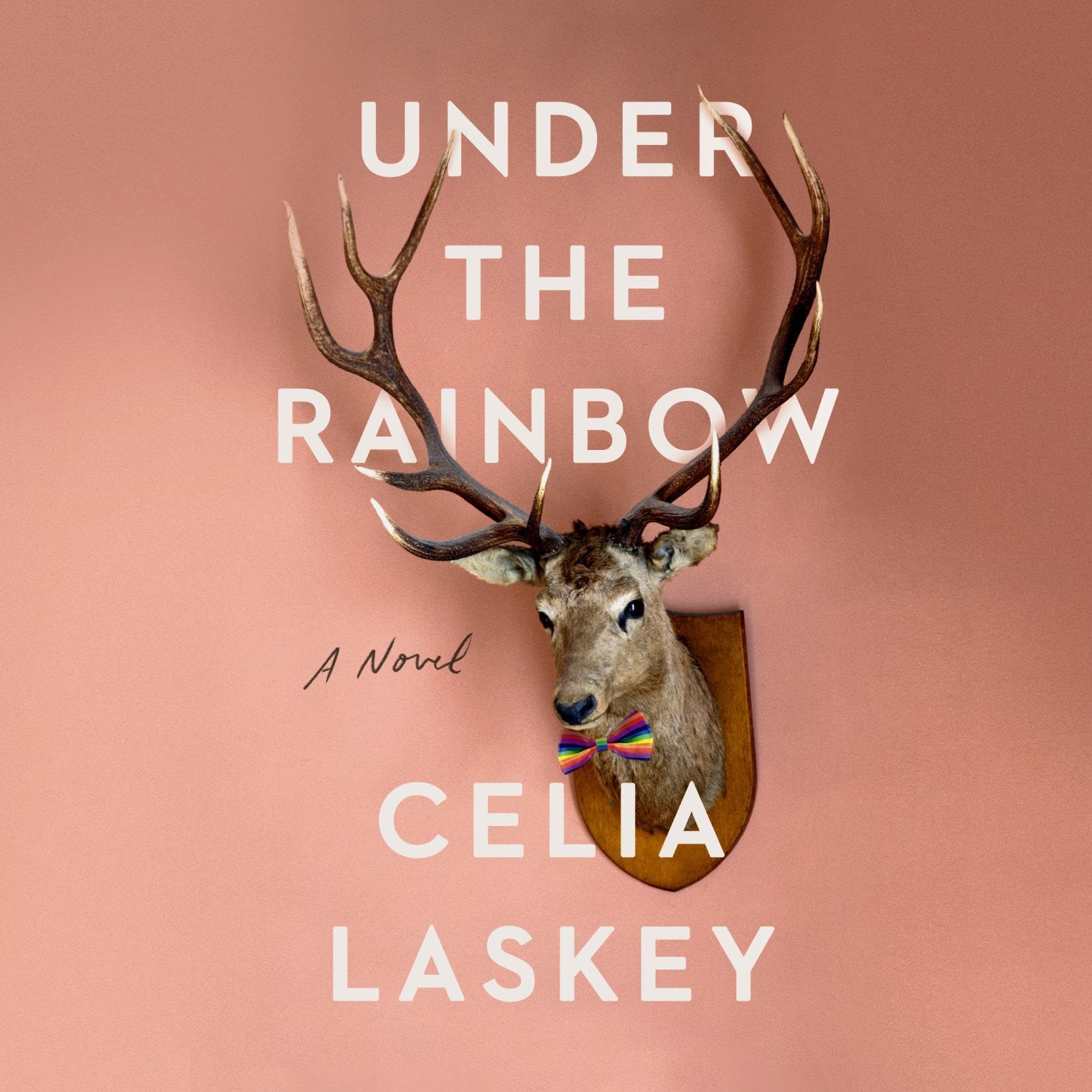 Cover art for Under the Rainbow