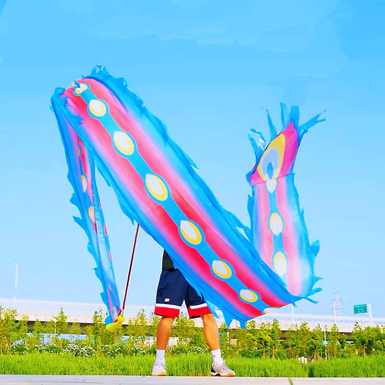 6 Meters (19.6 FT) 3D Square Exercise Dragon & Phoenix Poi with 340g Weighted Ball & 1.1 Meters Swing Rope, Silk-like Flowy Chinese Golden Phoenix Ribbon Streamer + Travel Bag! (Blue Phoenix)