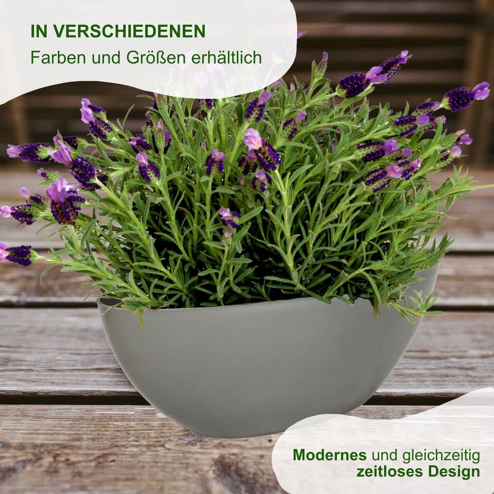 MePla - 2 Stück Schale OVAL - wetterfestes Pflanzgefäß - UV-beständiger Blumenkübel - Pflanzschale - Schale - L 38 cm - grau