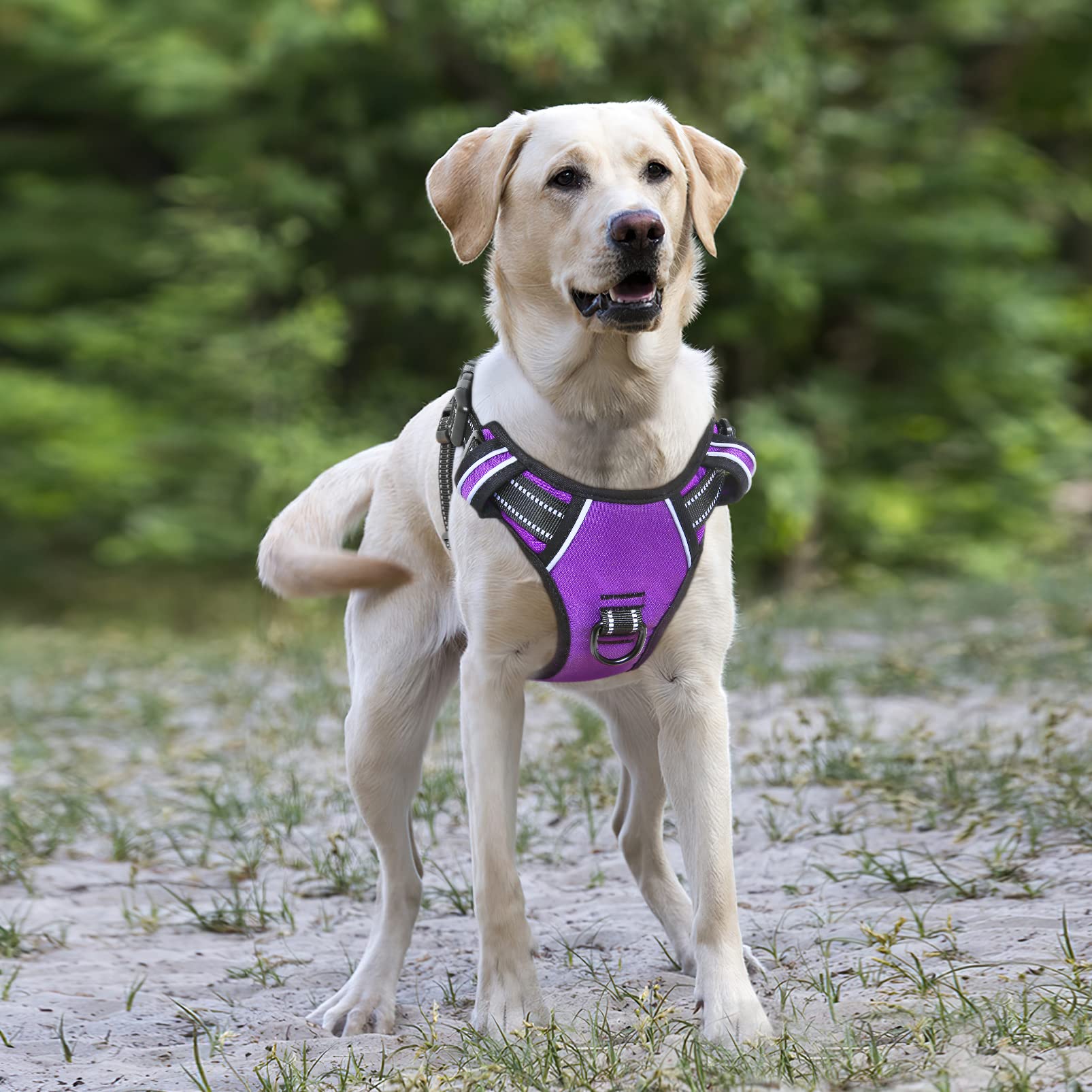 HEELE Pettorina Cane, Imbracatura Sganciata Rapido dal Collo, Pettorina Anti-tiro Riflettente e Regolabile con Maniglia Comoda, Morbida e Imbottita per Cani Piccola Media Grande, Porpora XL