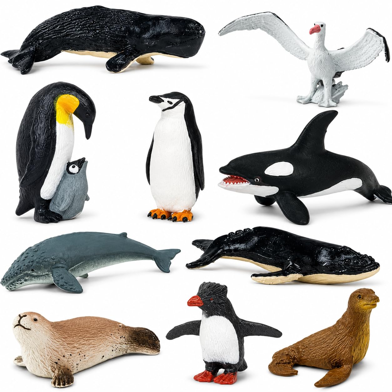 Amazon.com: Safari Ltd. Antarctica Toob - Toy Figurines Penguins