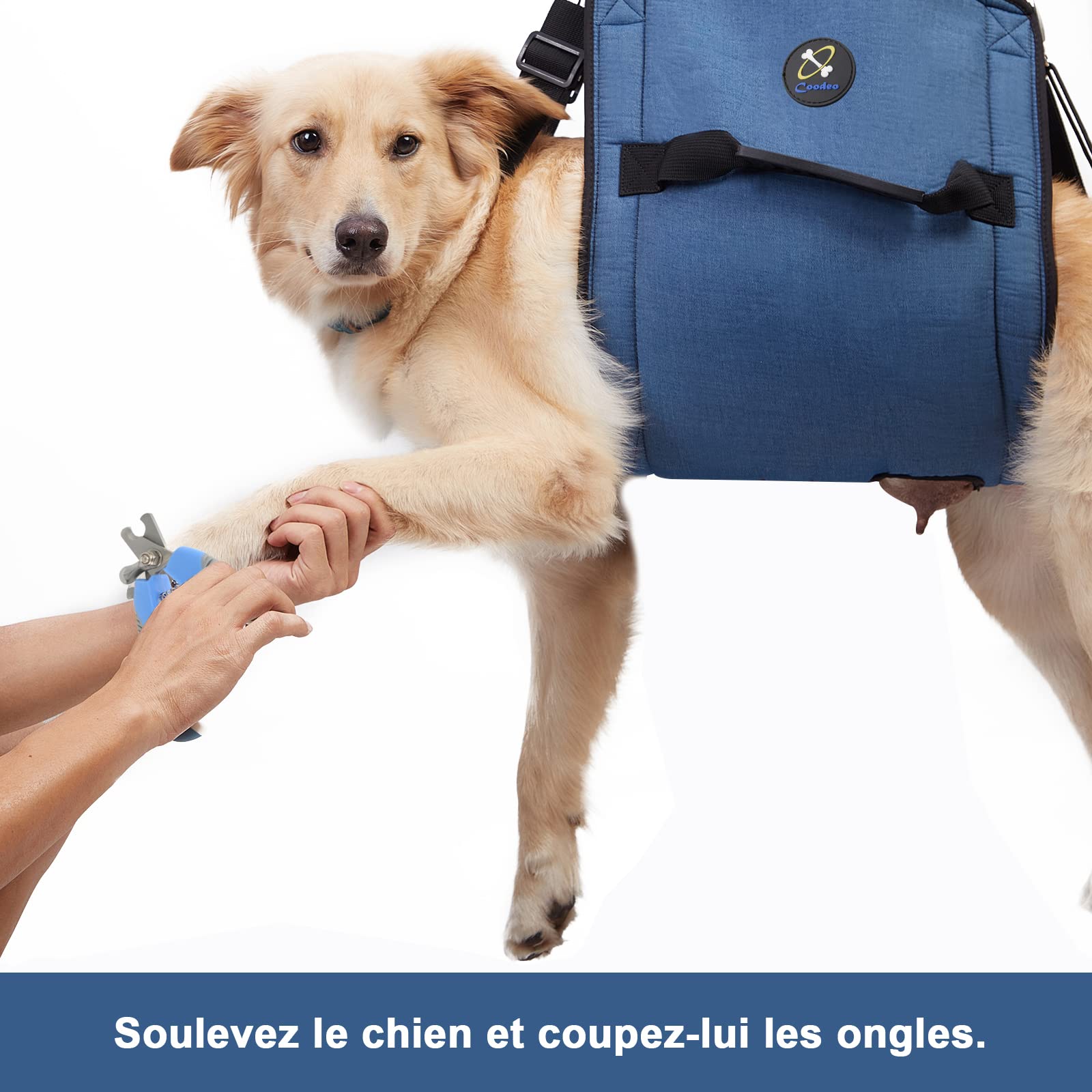 COODEO Porteur pour Chien Sling, Sac à Dos d'urgence pour Le Soutien des Pattes d'animal de Compagnie et Harnais de Levage pour Chiens, Porte-Chien pour Chiens âgés souffrant d'arthrite(XL, Bleu)