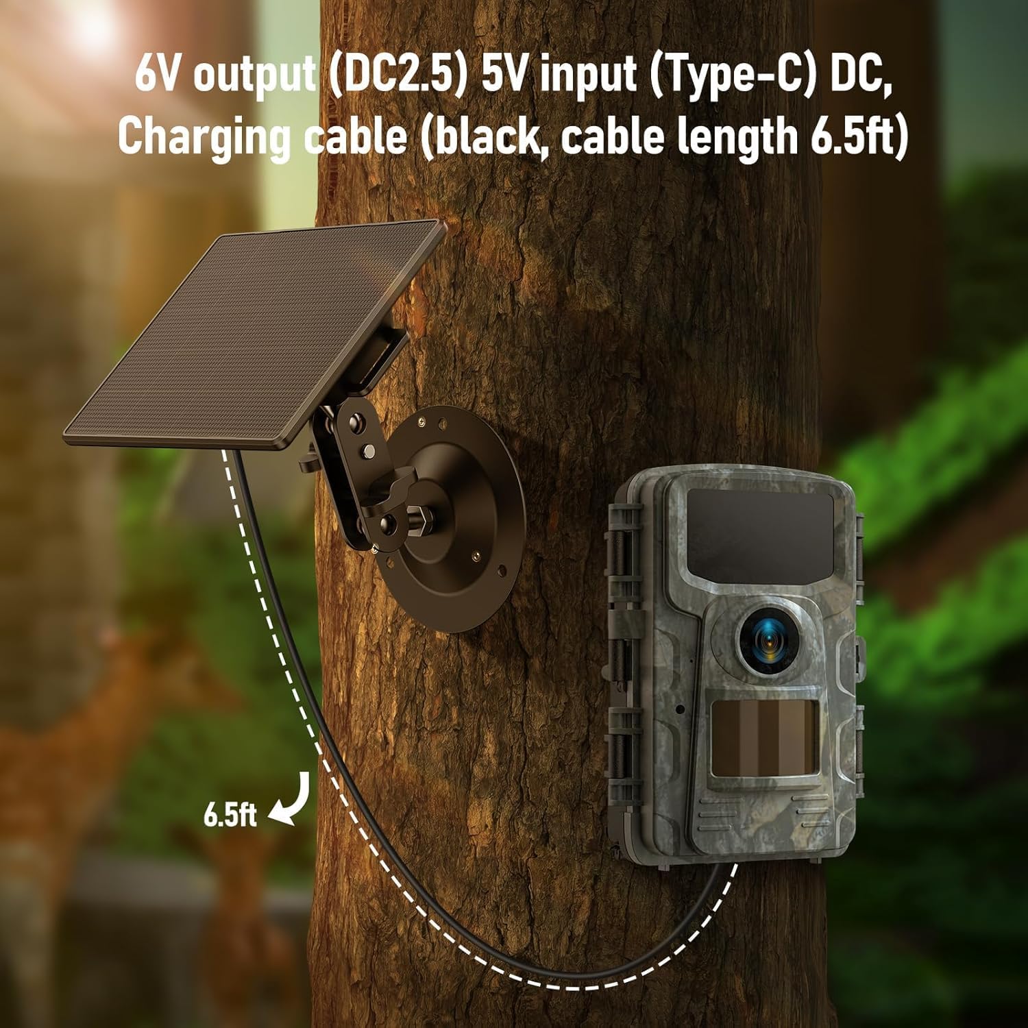 VOOPEAK Solar Panel connected to a trail camera on a tree