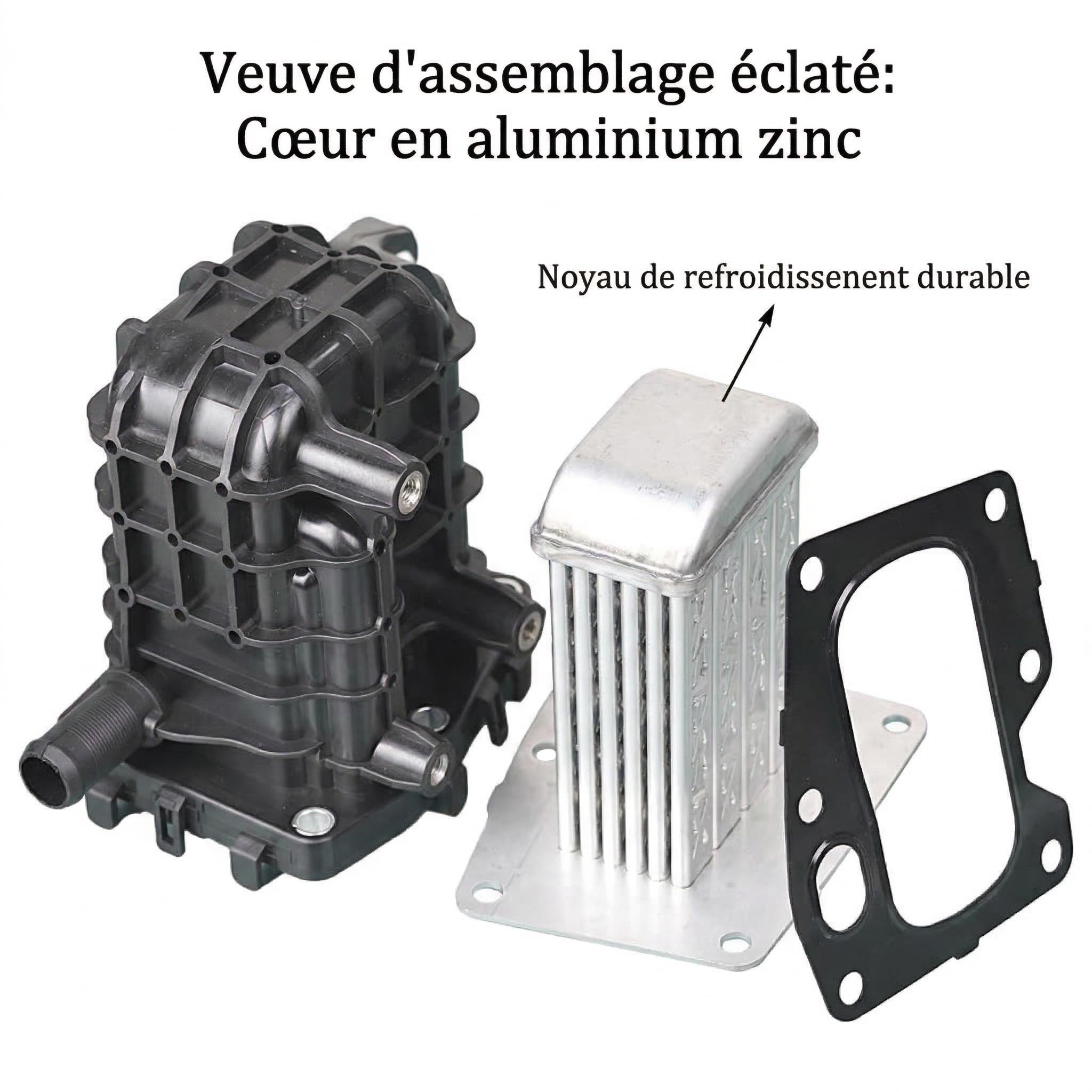 Boîtier de Refroidisseur EGR avec Joint – Compatible avec Peugeot 308 508 3008 5008 Expert Boxer Traveller/Citroën C4 C5 / Ford Mondeo S-MAX – Réf. 9807593080 – Aluminium Zinc Durable