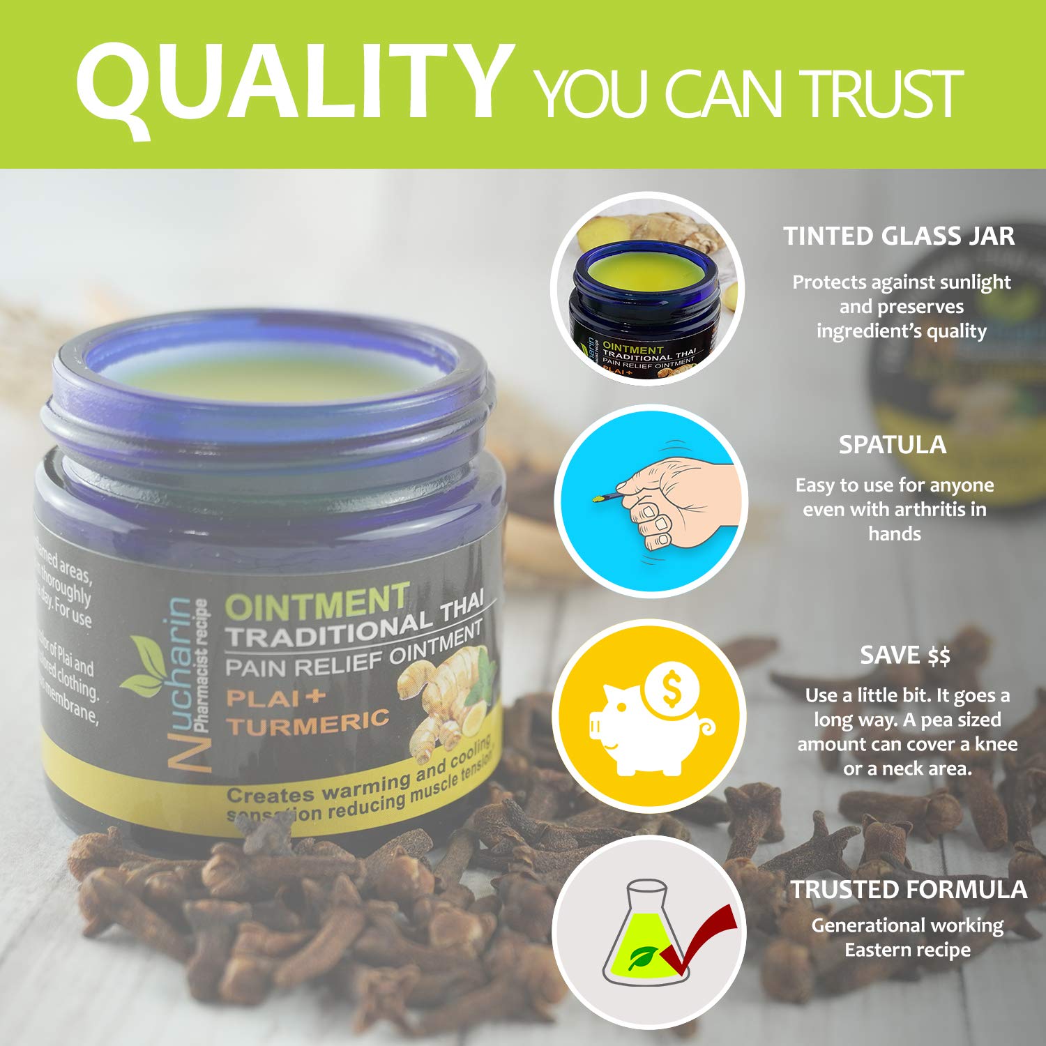 Back Pain Natural Muscle Rub Turmeric Ointment with Menthol Camphor