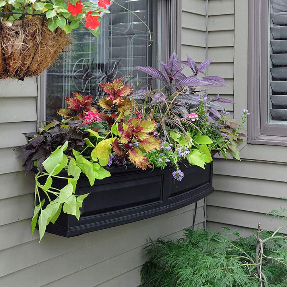 Mayne Inc. Nantucket Rectangular Window Box Color: Black, Size: 48"