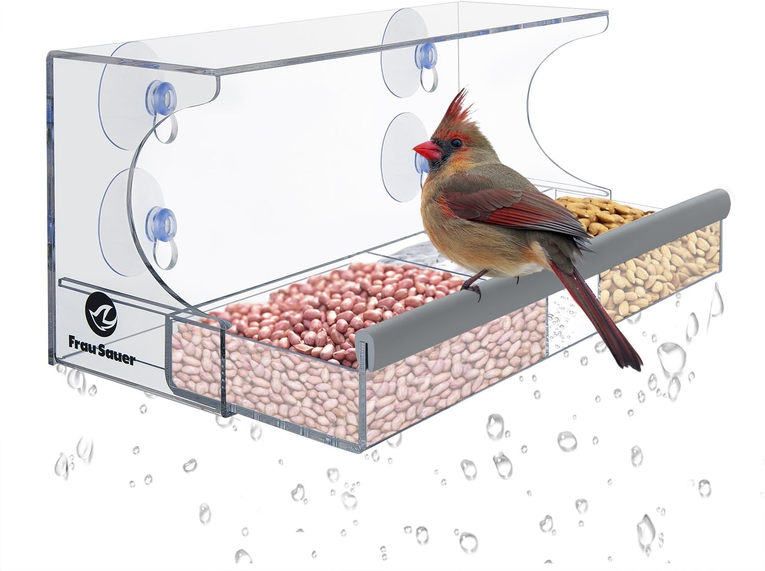 Frau Sauer Acrylic Window Bird Feeder Modern Feeder Haus with 4 Durable Suction Cups