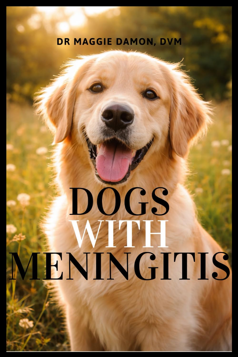 Dogs With Canine Meningitis: A comprehensive guide to managing canine meningitis