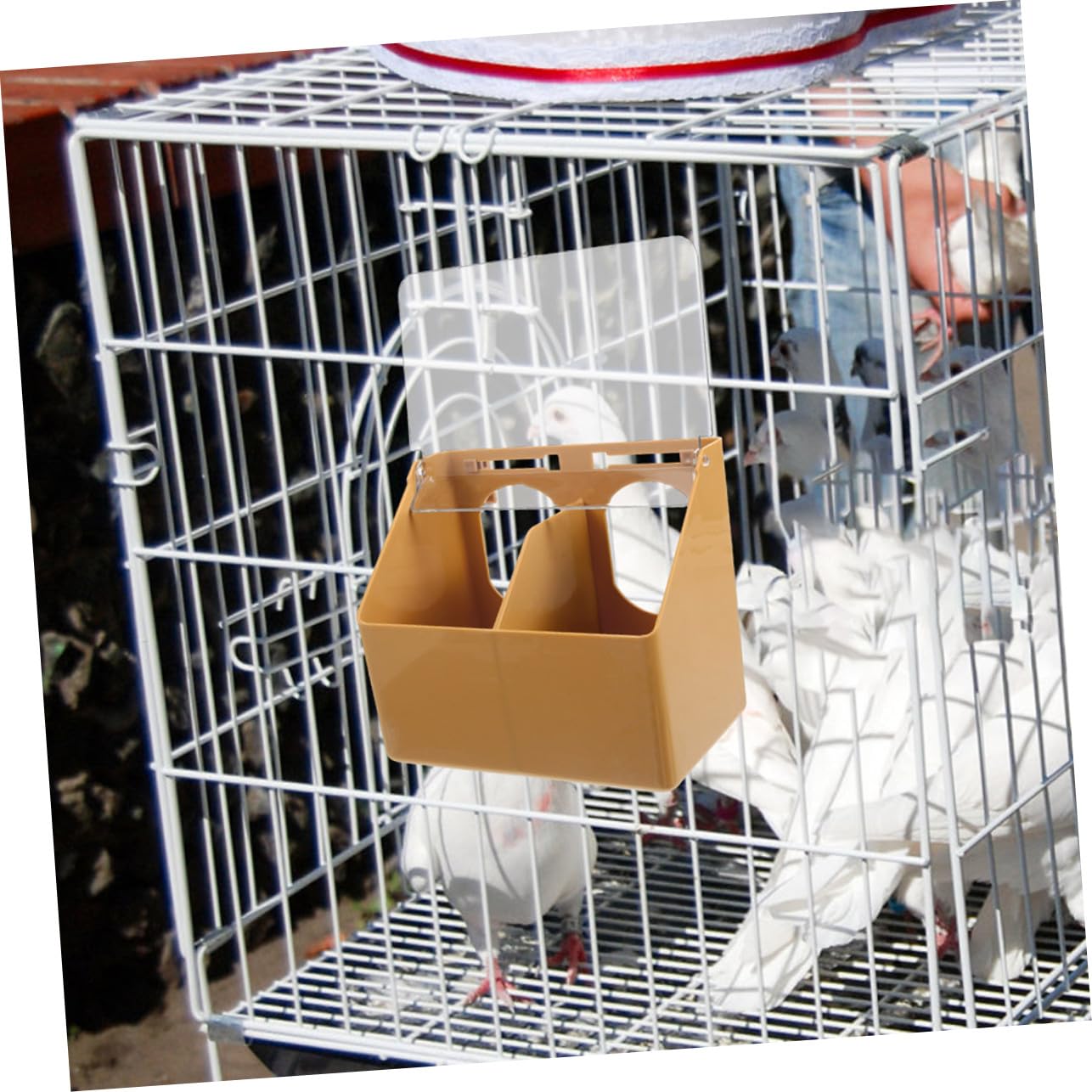 BESPORTBLE 3 pièces Mangeoire Suspendue pour Petits Oiseaux Distributeur Multi-Compartiments Plastique pour Cage Capacité pour Perroquets et Tourterelles