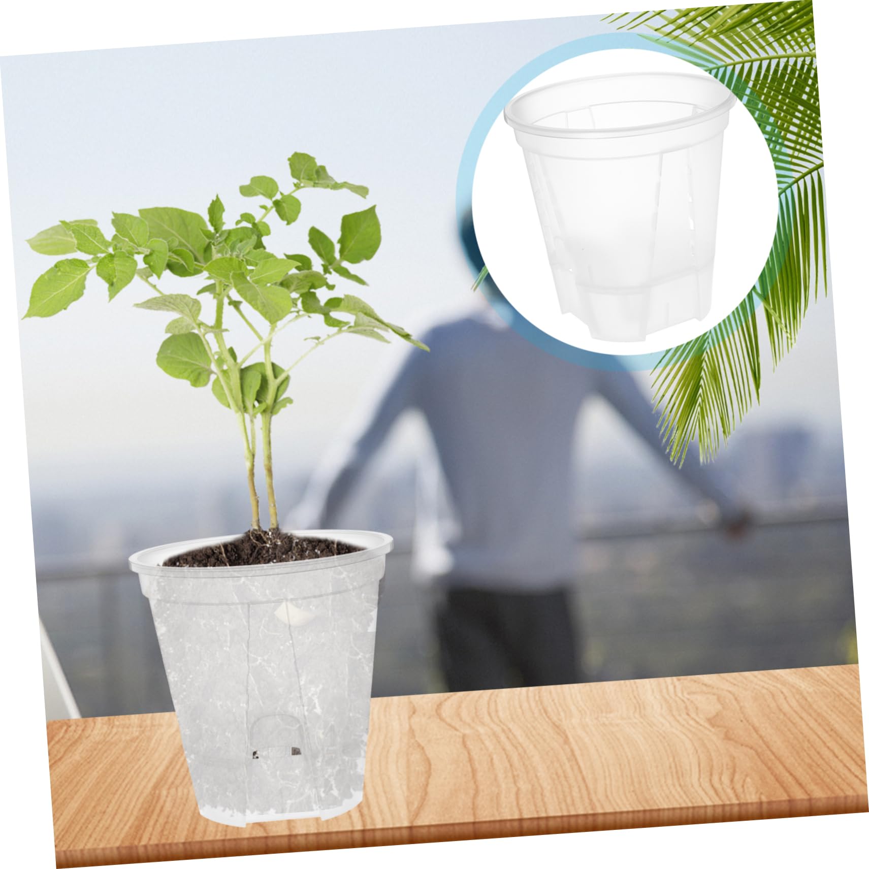 6pièces Pots De Plastique Transparent avec Drainage à Orchidées Respirants pour Plantes Intérieur Et Circulation De Air pour Orchidées Et Plantes