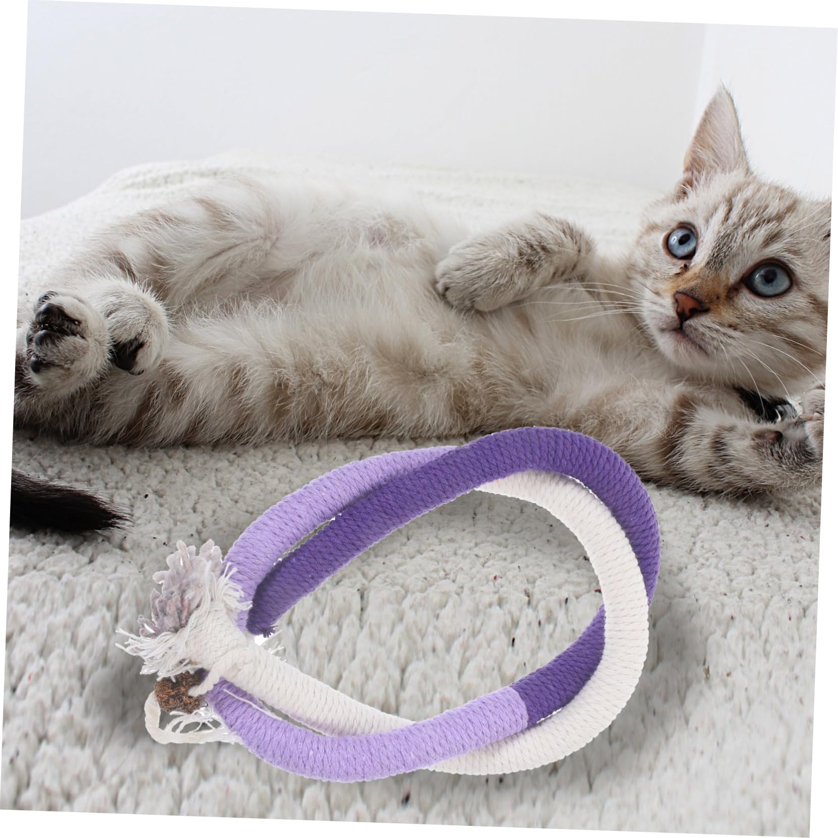 BESPORTBLE 12pezzi Giocattoli Interattivi Catnip Per Gattini Di Giochi Con Corda Per Masticare e Istinto Di Per Gatti Indoor