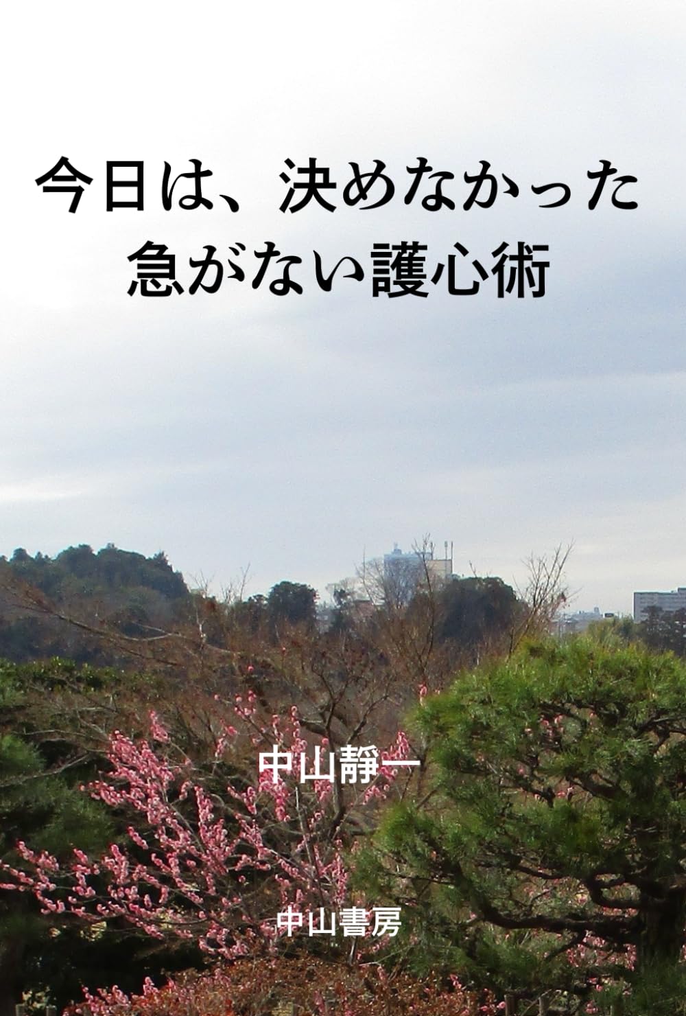 今日は、決めなかった: 急がない護心術