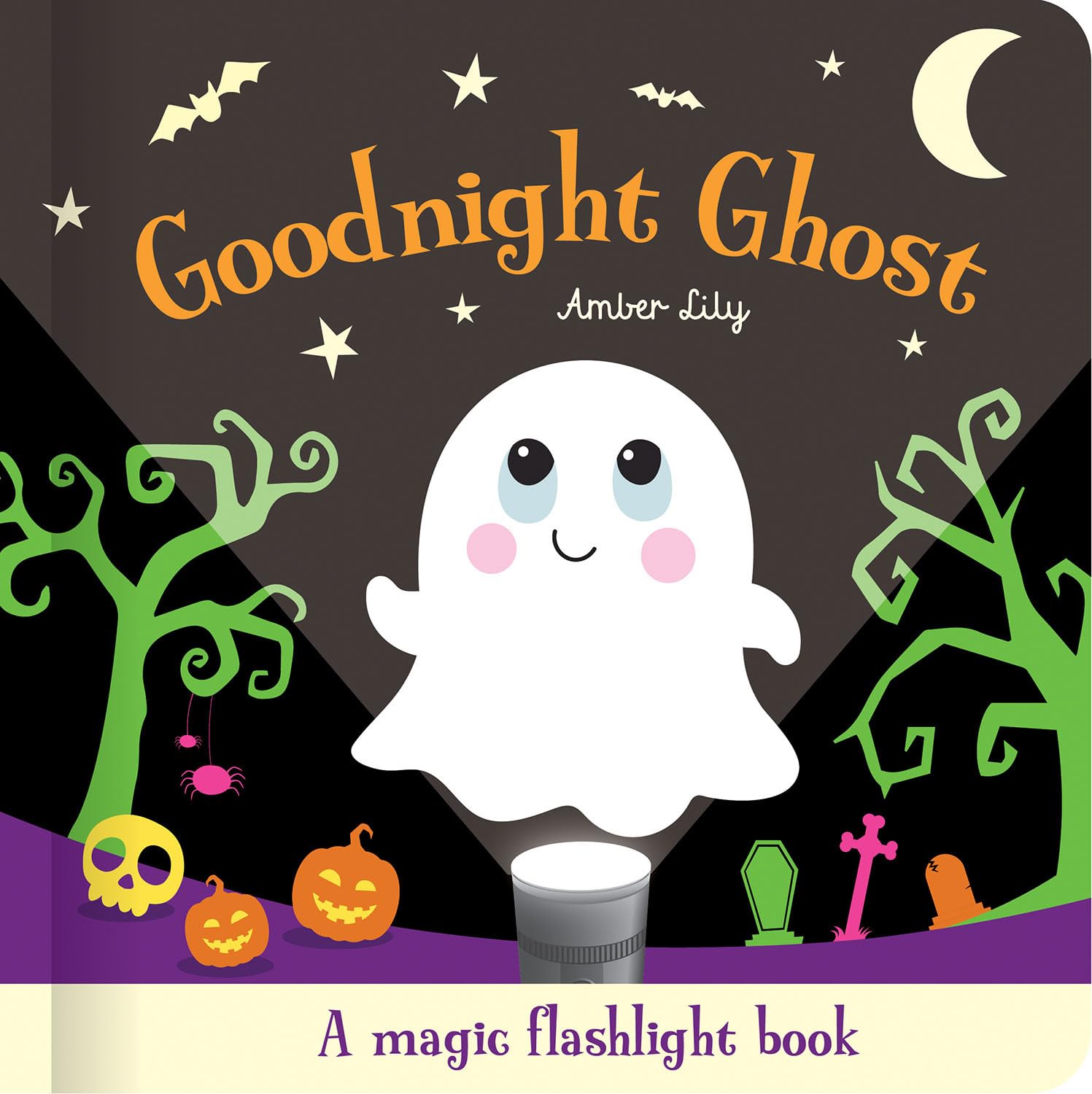 Goodnight Ghost (Magic Flashlight Books)