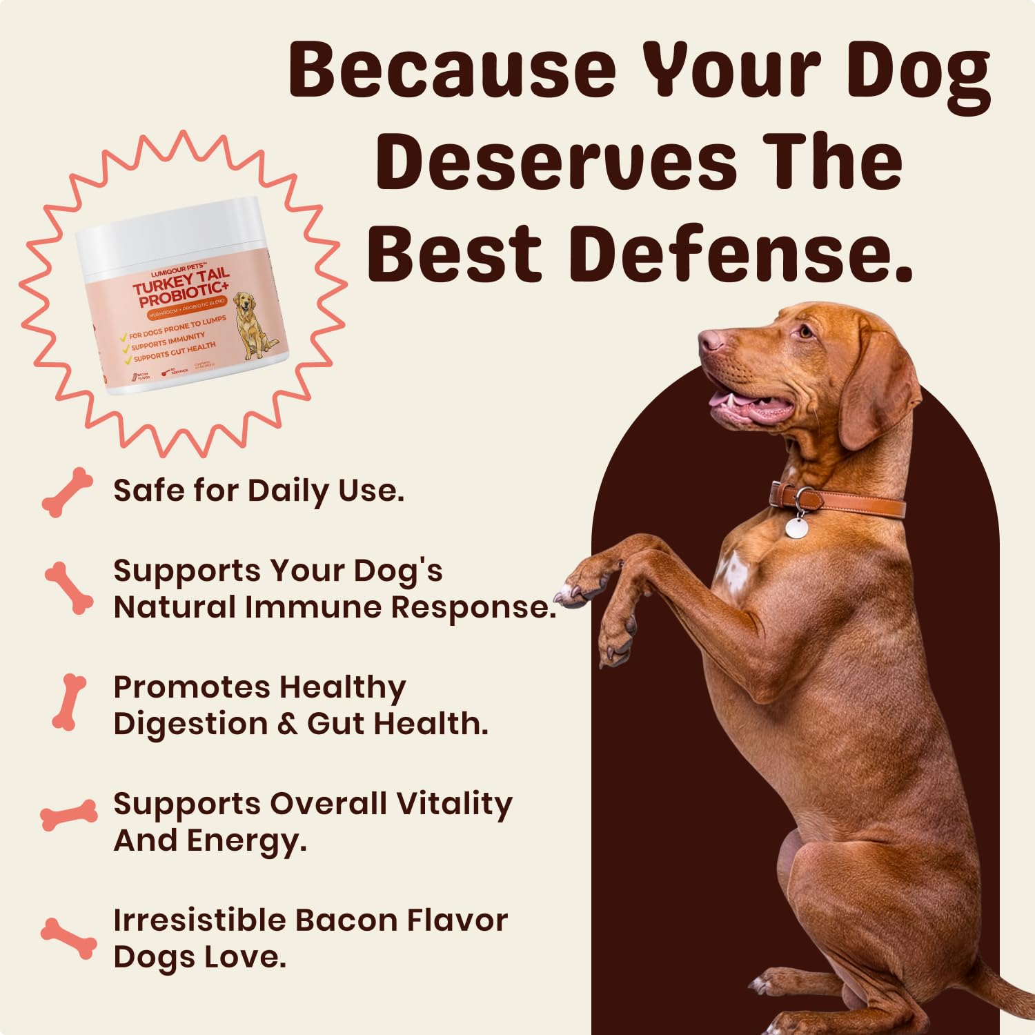 Turkey Tail Mushroom for Dogs – Turkey Tail Mushroom Powder with Probiotics for Immune and Digestive Support, Supports Lumps and Bumps, Bacon Flavored Daily Dog Supplement — Amazon image 3