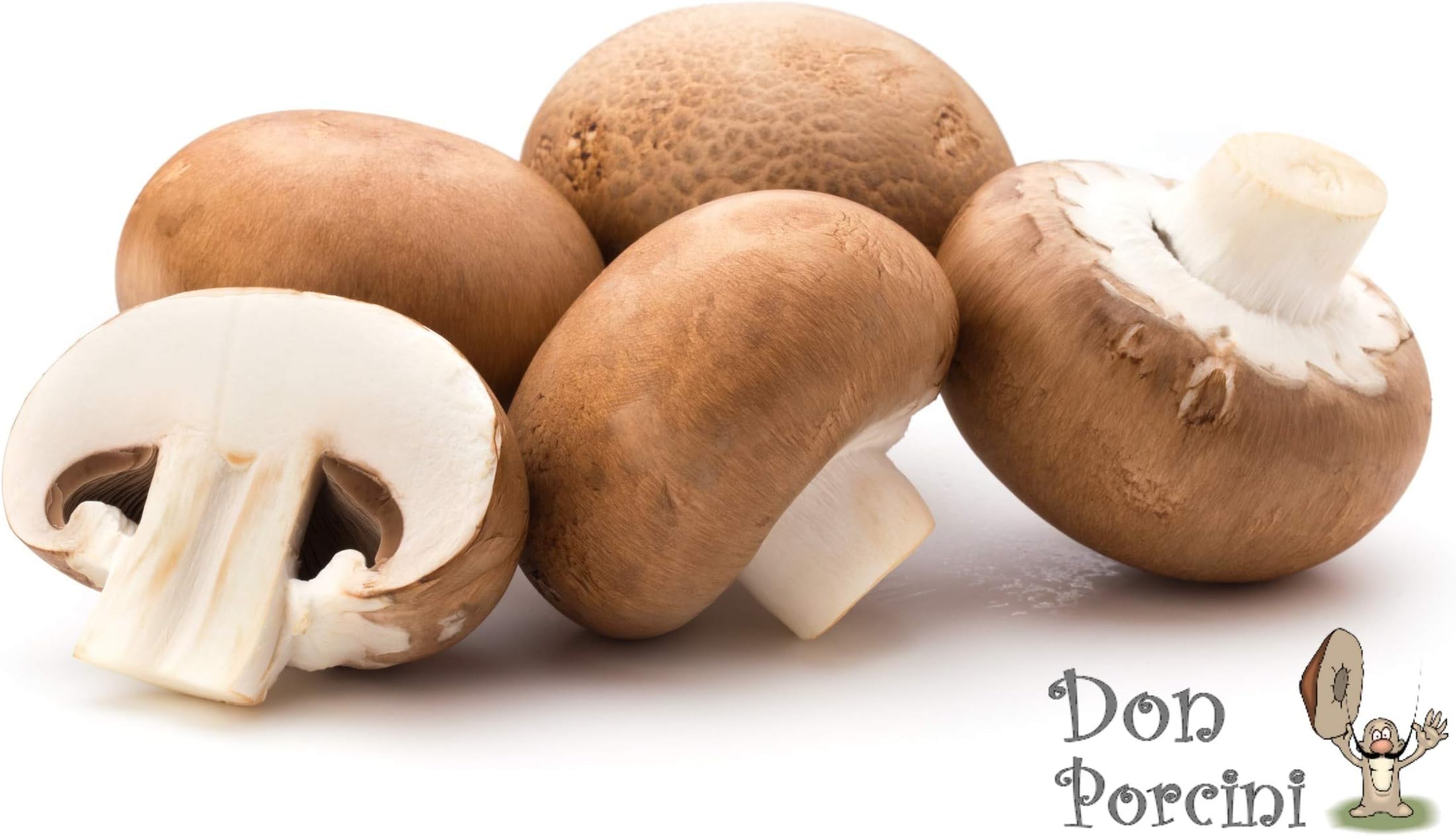 Royal Champignon (Agaricus Bisporus) Mycelium Dried Seeds Spawn Champignon Mushroom Spores (1 oz) by Don Porcini