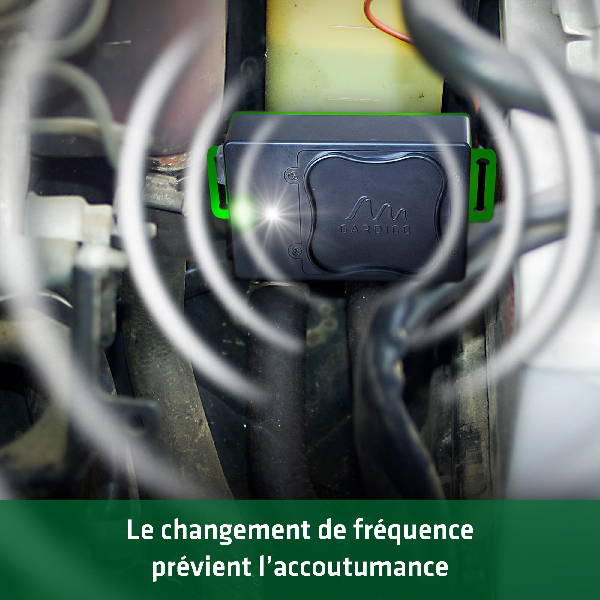 Gardigo® Anti Martre Voiture à Ultrason & Flash LED - Répulsif Fouine, Souris, Rats, Rongeurs - sur Piles ou Batterie Auto - Idéal pour Voitures, Greniers, Étables