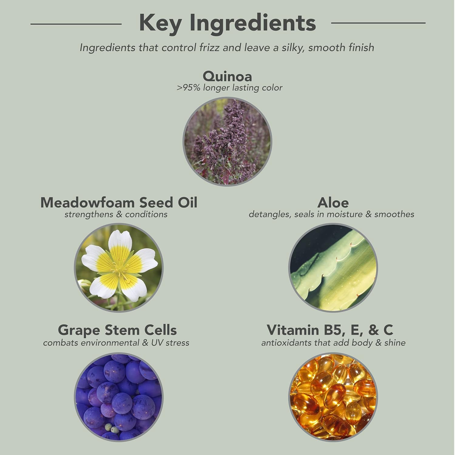 Framesi Smooth Shine - Image 6