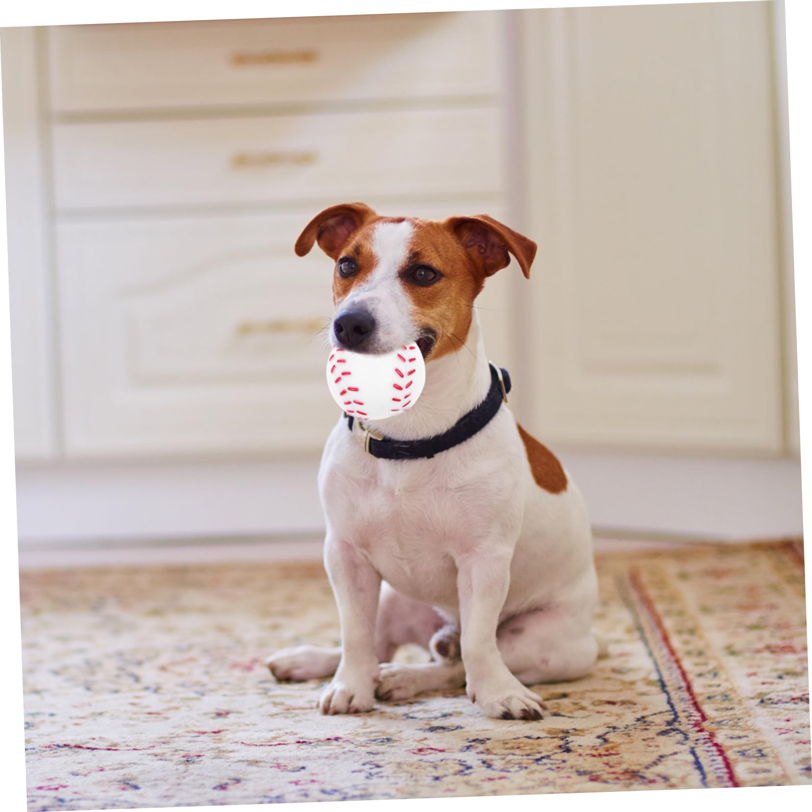 INOOMP 5 Sätze Hundespielzeug Zähne Sound Spielzeug Interaktives Hundetennisspielzeug Welpen Zahnen Haustier Hund Interaktives Hunde-apportieren 4 Stück * 5