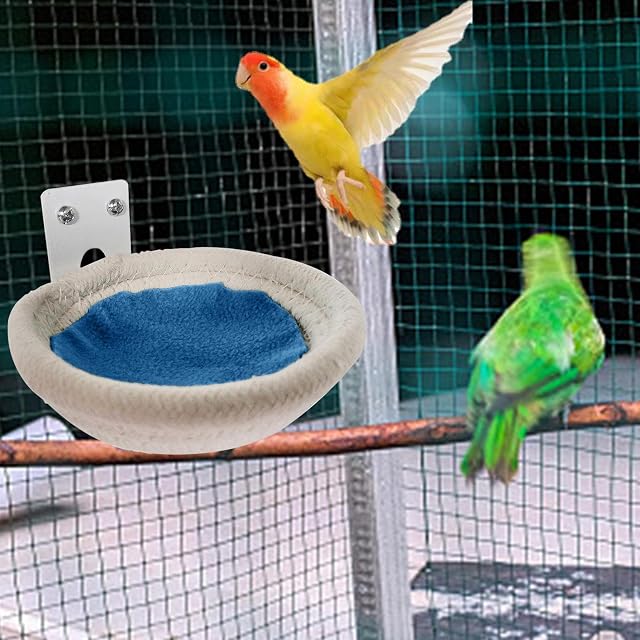 Foto 2 de 8 de pájaro para jaula - cría para pájaros pequeños para periquito