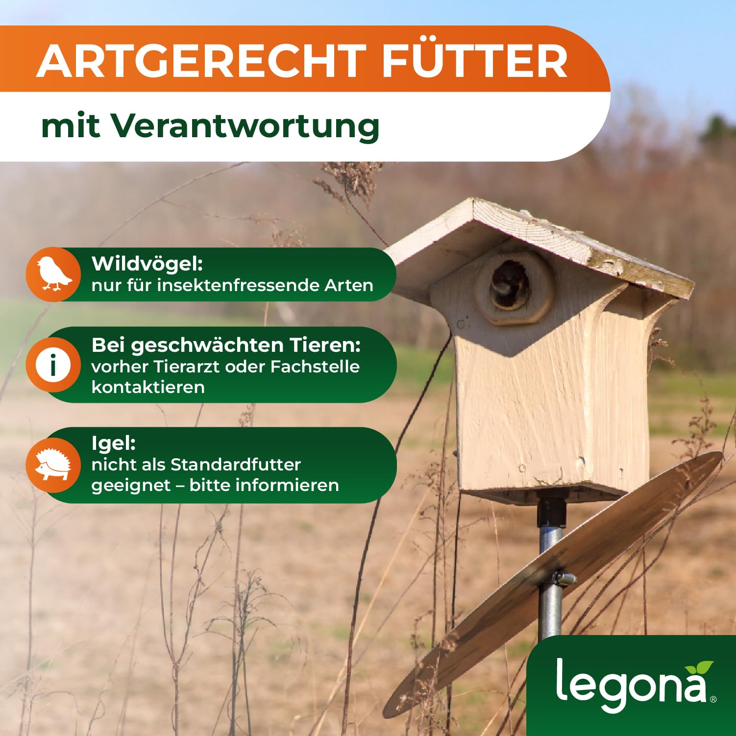 Legona Mehlwürmer lebend 1 kg - Futterinsekten für Terrariumtiere und Hühner - Tenebrio Molitor Larven - In Thermobox verpackt, kühl lagerbar