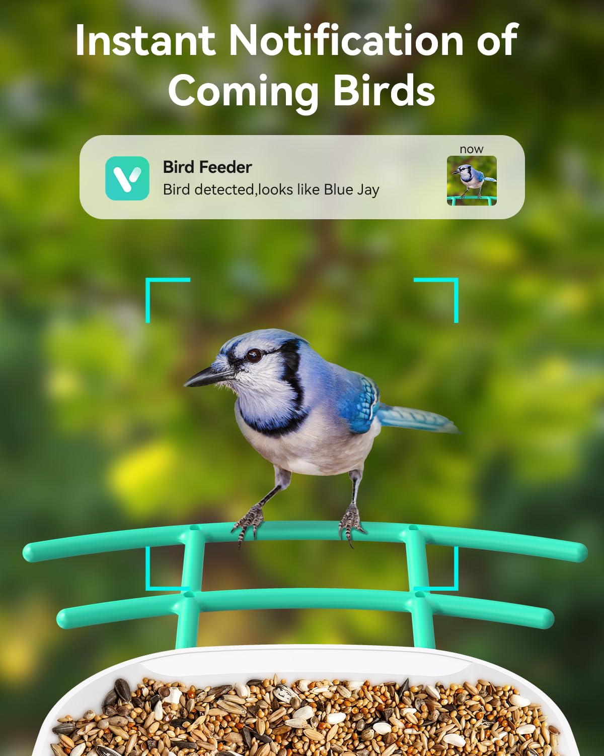 HIHIMARK Intelligenter Vogelfutterspender Mit Kamera – Solar, KI-Erkennung, 4MP, App-Steuerung, Für Vogelbeobachtung