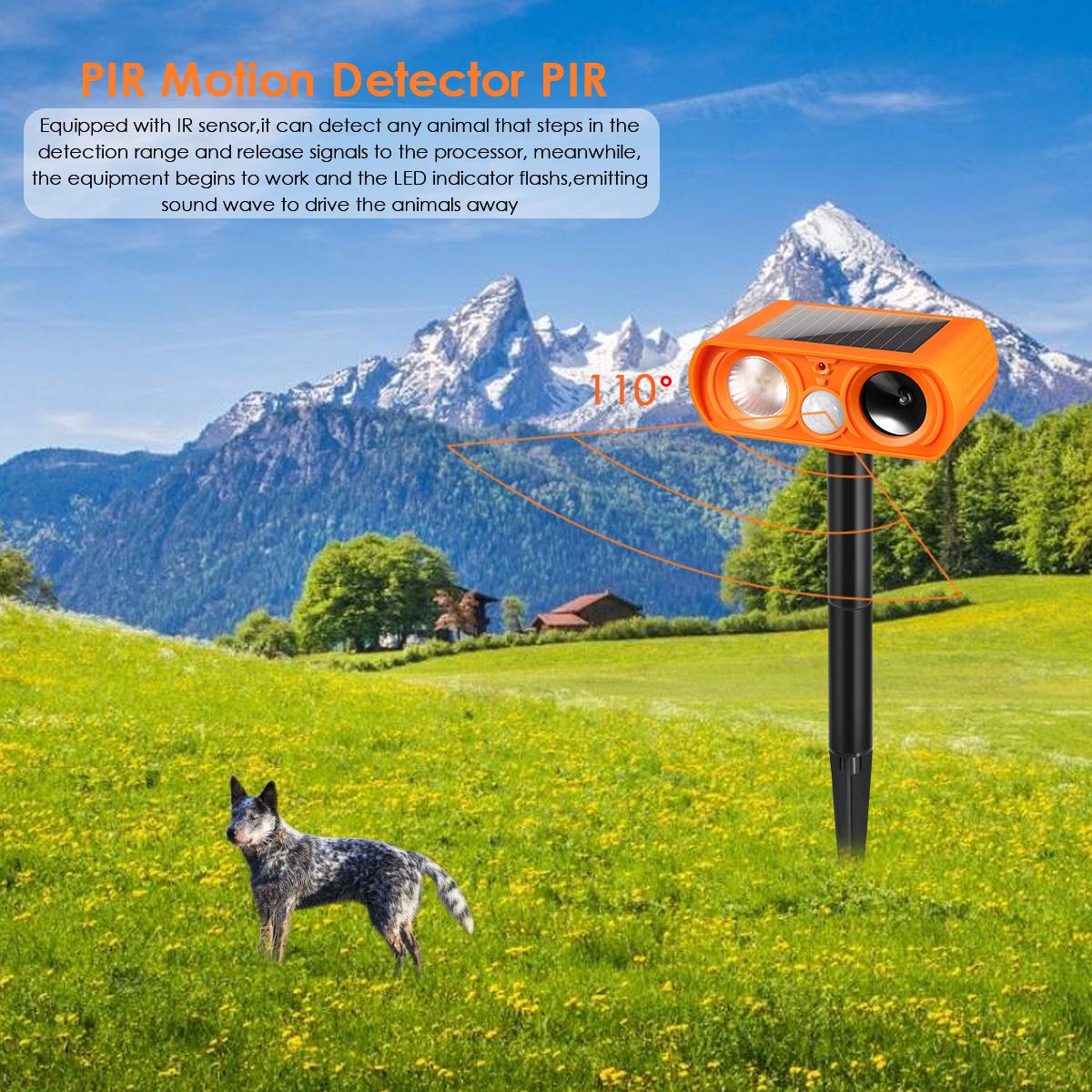 Buy Luckkya Ultrasonic Dog Chaser,Orange Animal Deterrent with Motion