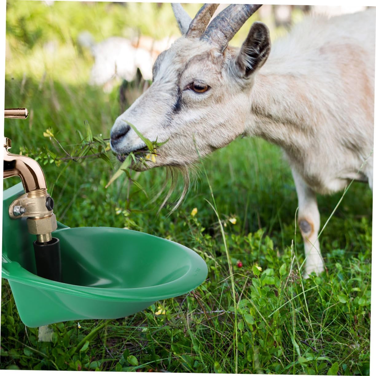 BESPORTBLE 2pcs Automatic Drinking Fountain for Sheep and Cattle and Copper Water Bowl Bite Design Easy to Install for Livestock Watering
