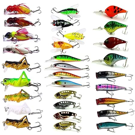 freshwater fish bait