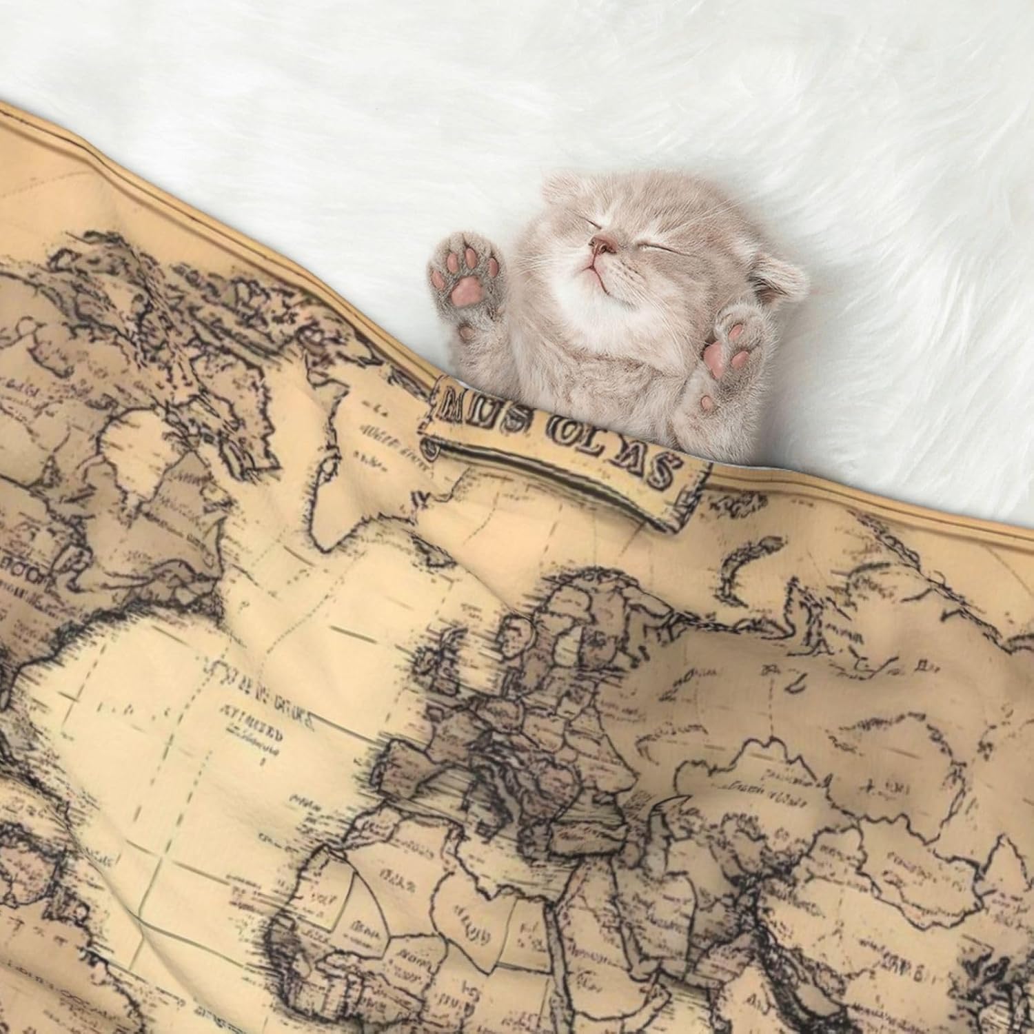 World Map Print Soft Plush Pet Blanket, Washable Dog Blanket, Cat Fleece Throw, Puppy Bed Crate Mat & Sofa Couch Protector - Large