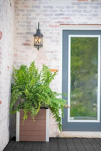 Miniatura 9 de Vita Urbana VT17611 - Maceta cuadrada de vinilo en relieve de 22 pulgadas, gris pizarra, gris, veta de madera, PVC, BPA y ftalatos