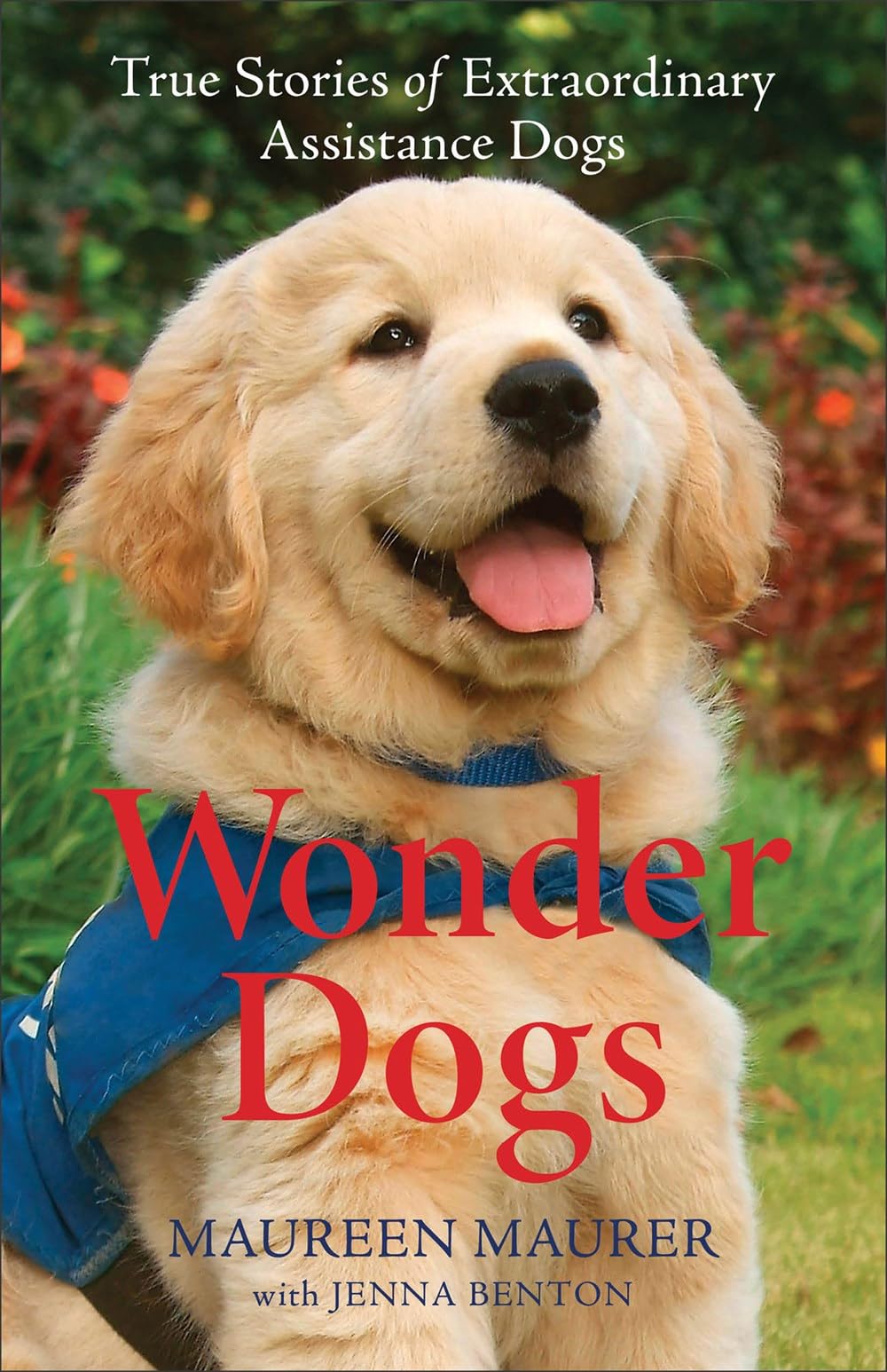 Wonder Dogs : True Stories of Extraordinary Assistance Dogs by Maureen Maurer...