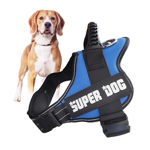 Edipets, Arnes Perro, Antitirones, para Perro Grande Mediano y Pequeño, Homologado, Reflectante, Transpirable