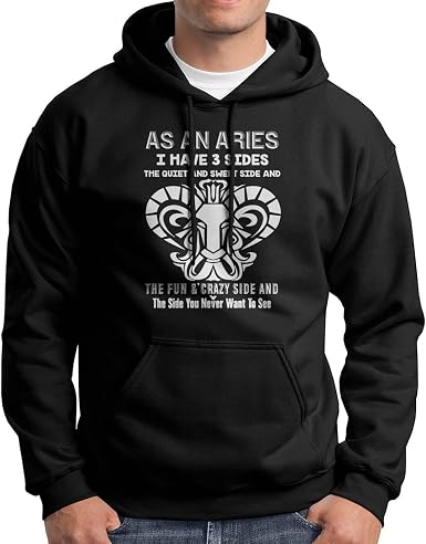 aries sweatshirt